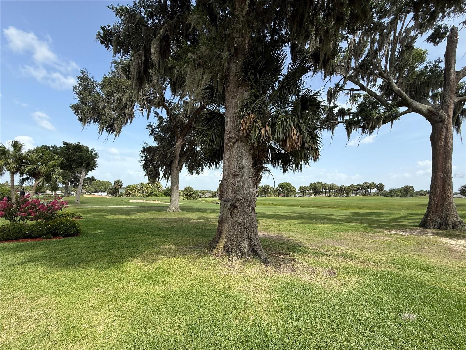 Image 76 of 94 For 2515 53 Avenue