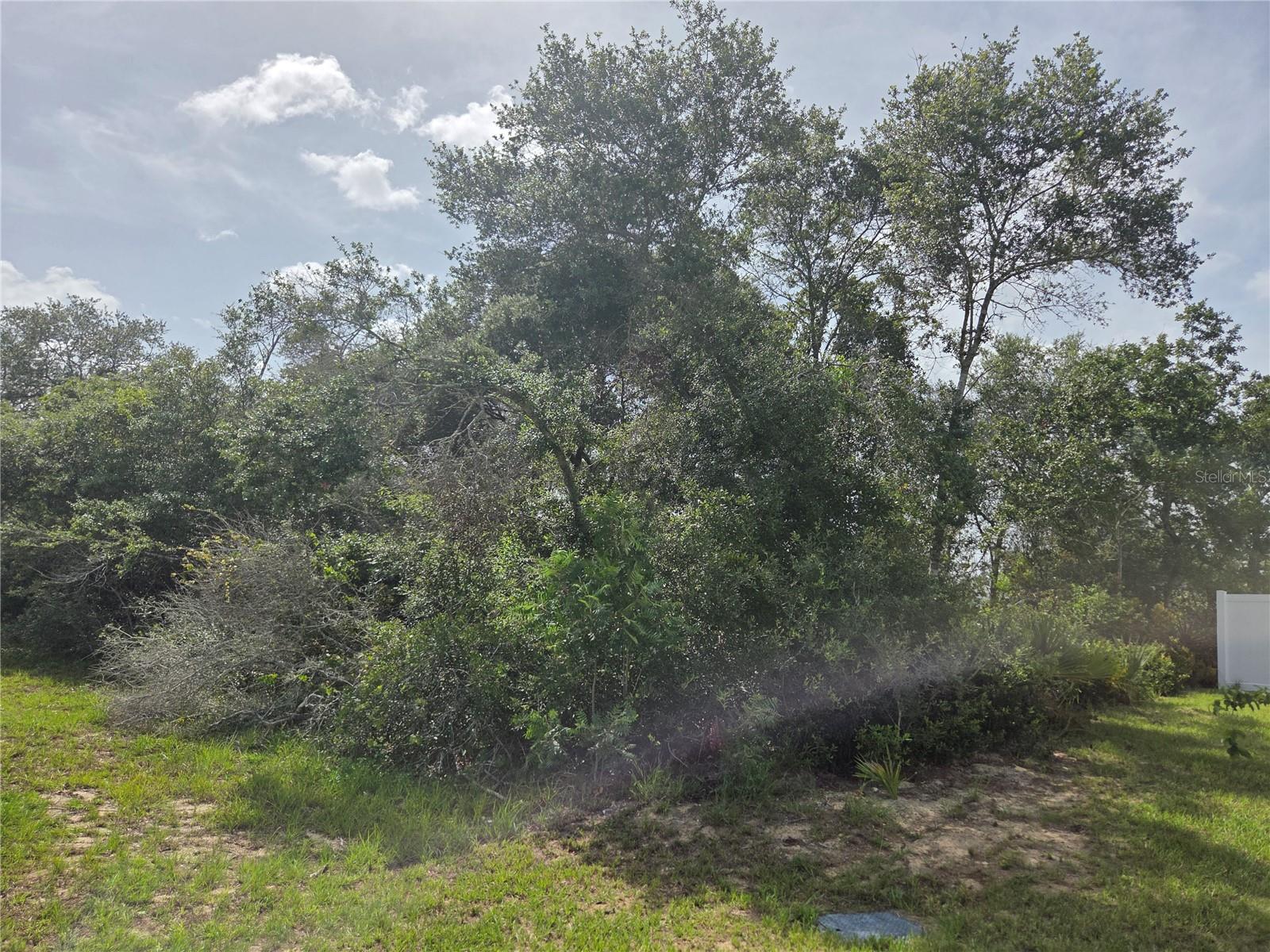 Image 10 of 12 For 0 153rd Loop