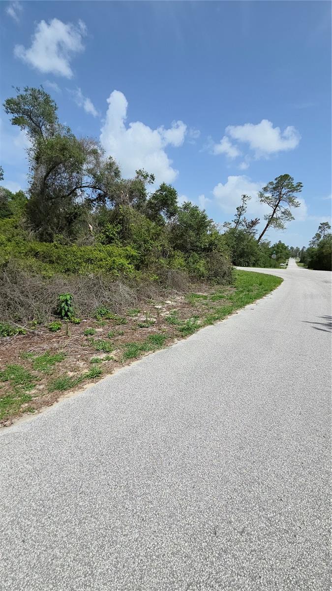 Image 11 of 12 For 0 153rd Loop