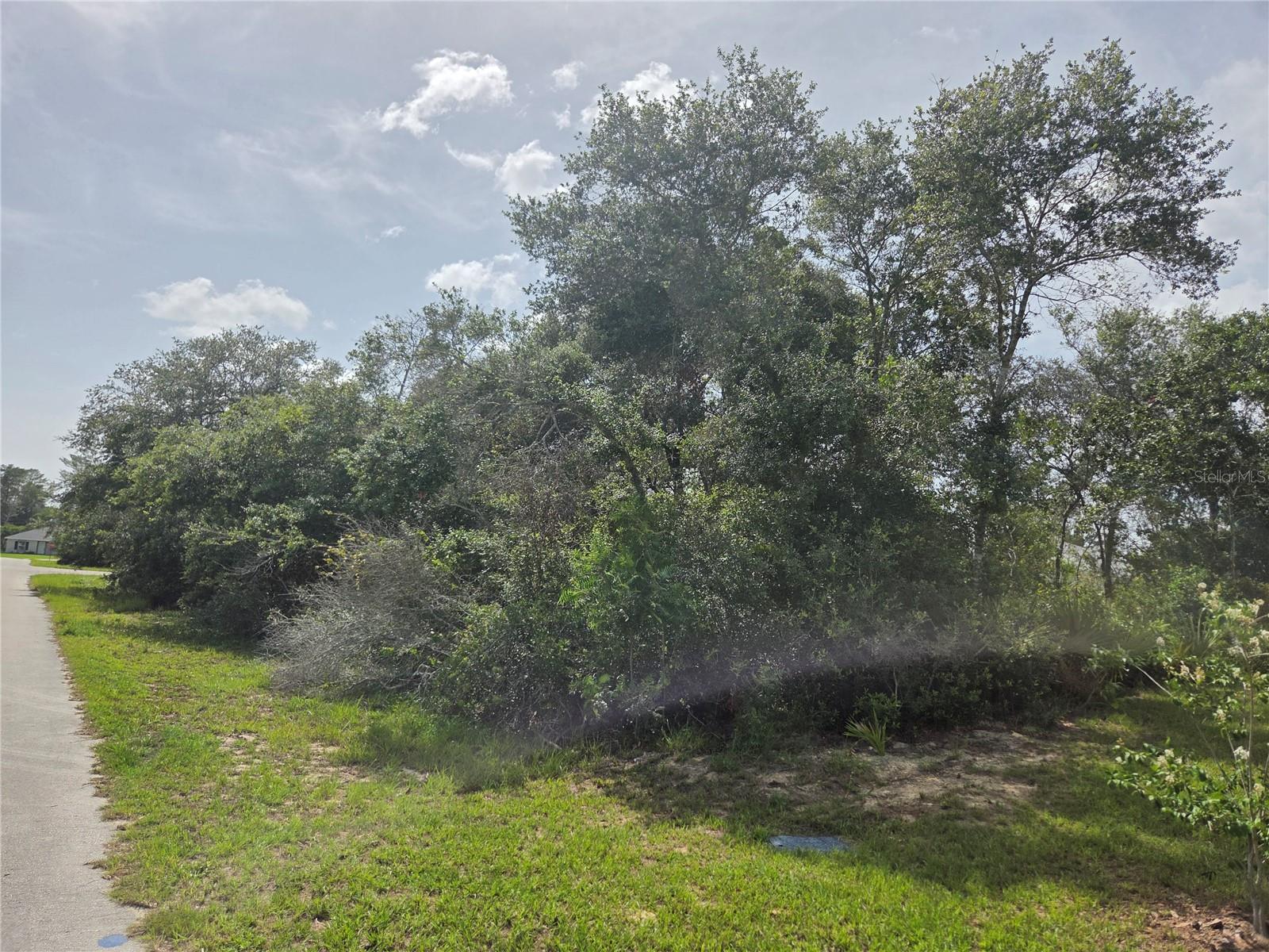 Image 12 of 12 For 0 153rd Loop