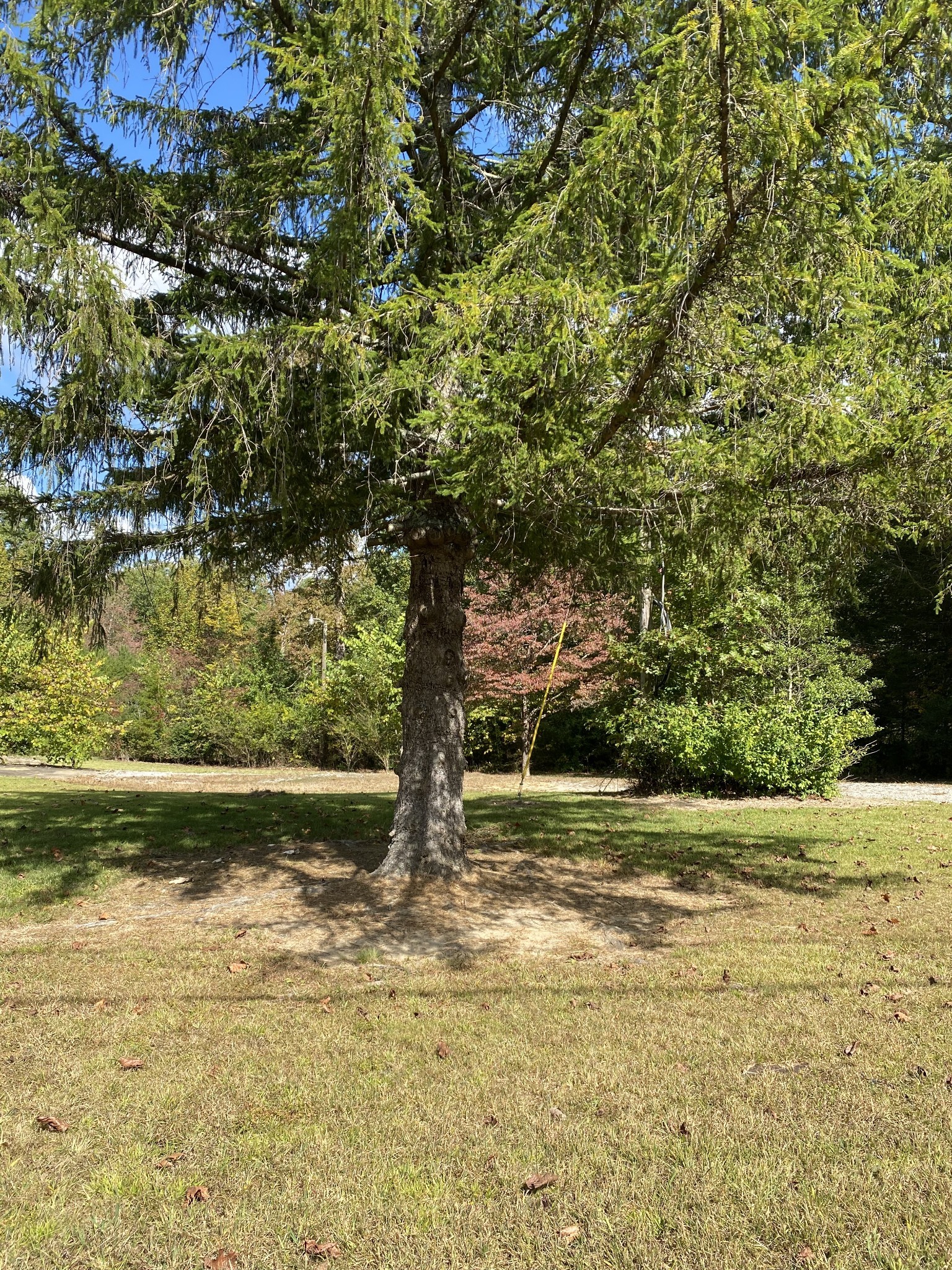 Image 11 of 13 For Tbd St, Clair Street