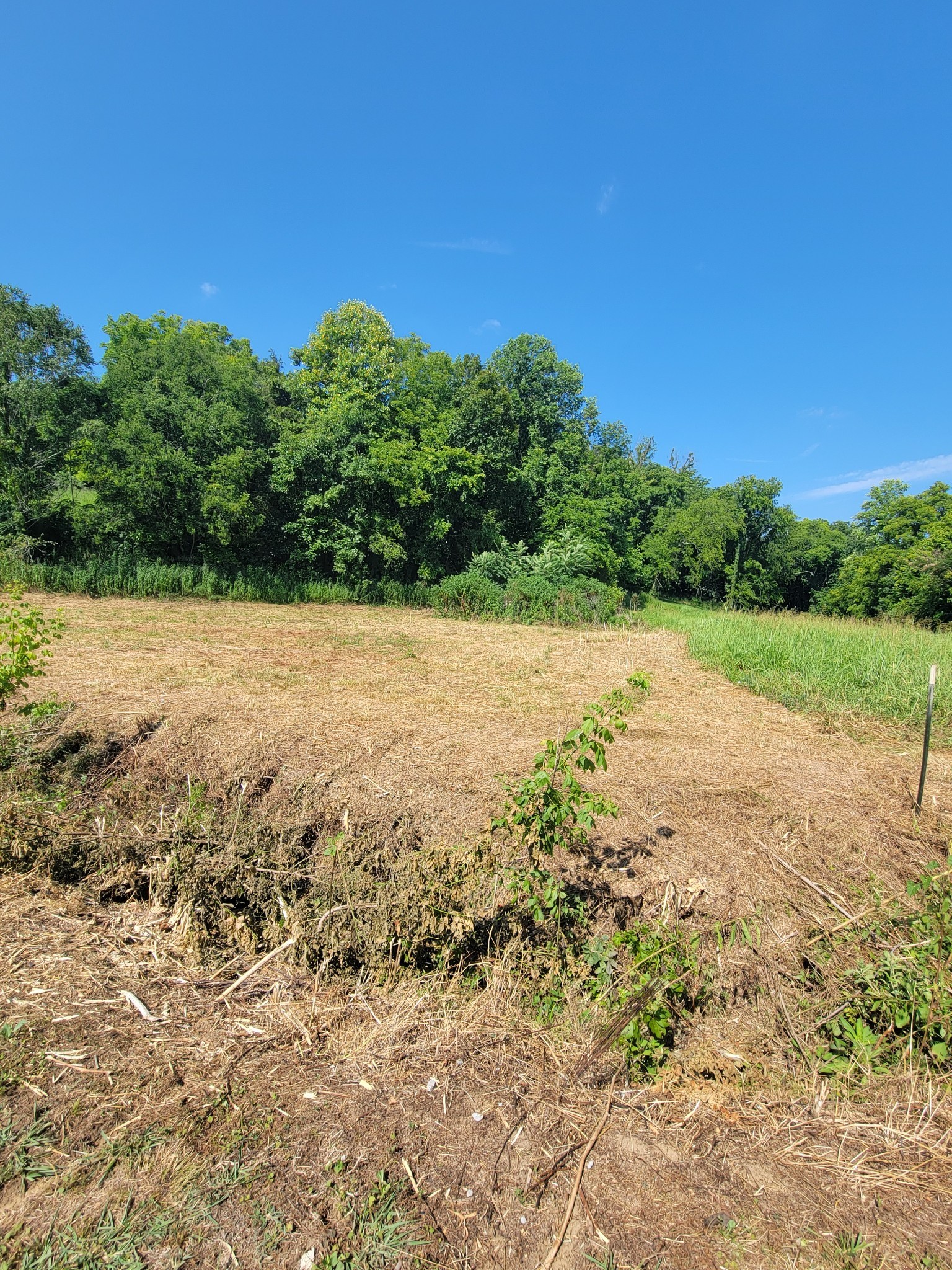 Image 2 of 5 For 2679 154th Place Road