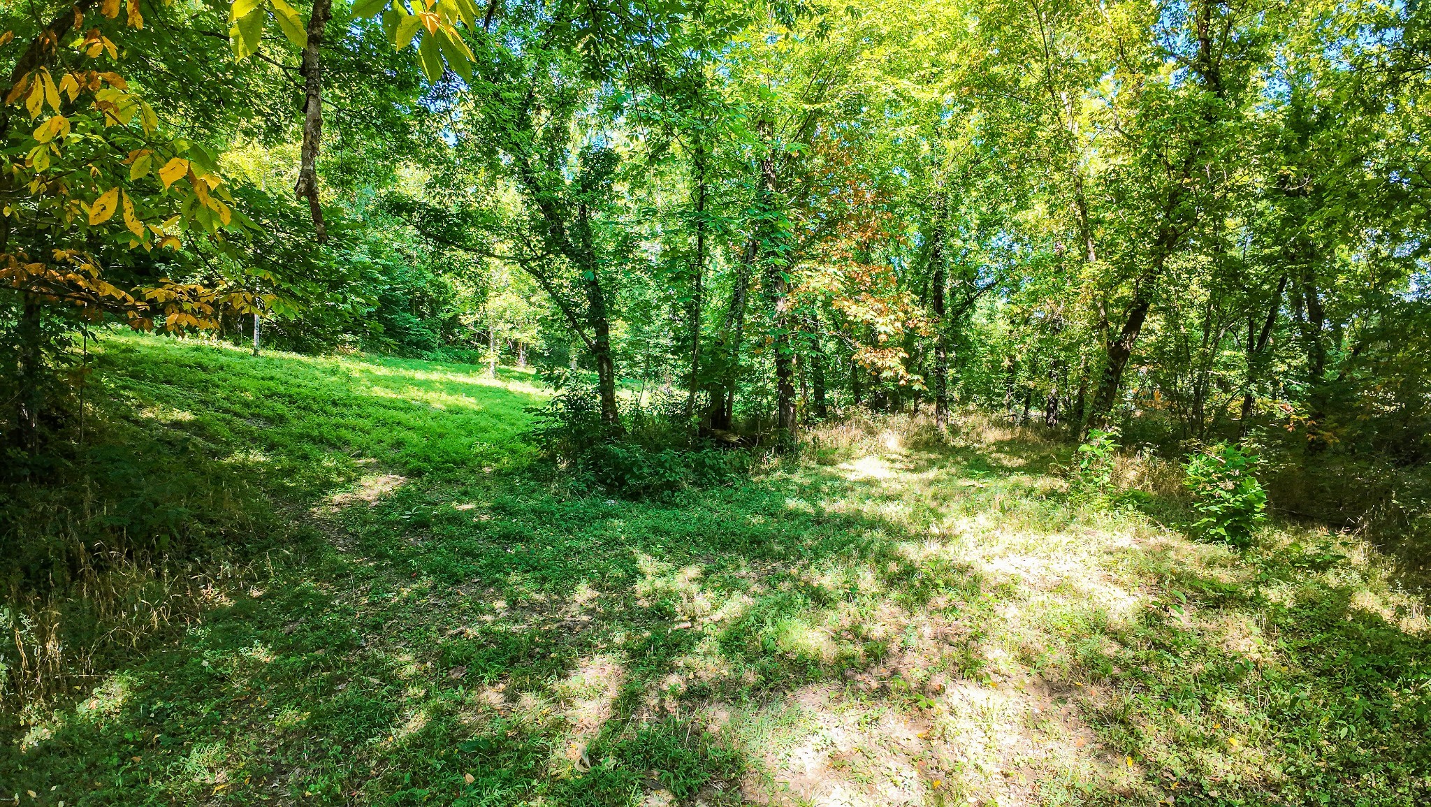 Image 5 of 5 For 2679 154th Place Road