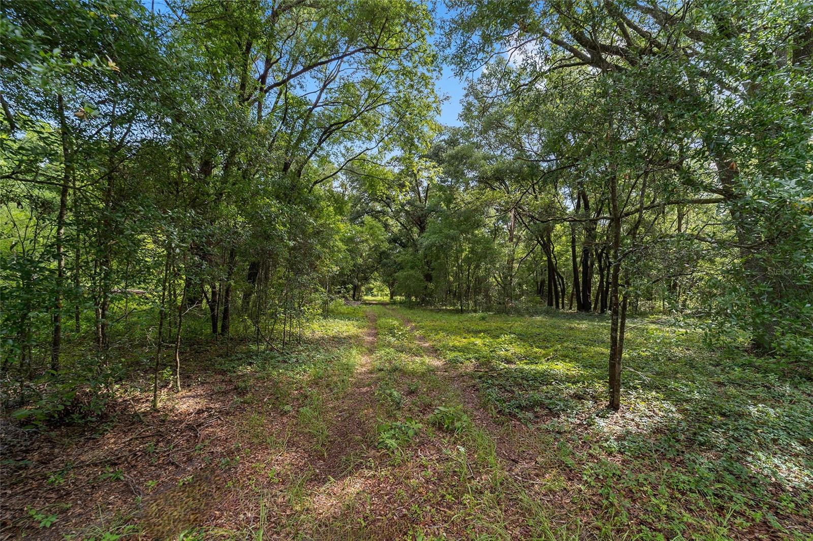 Image 18 of 32 For 15422 50th Avenue