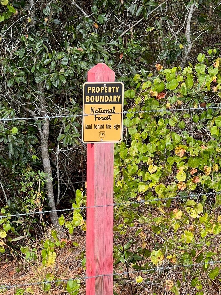 Image 18 of 27 For Tbd 74th Lane Road