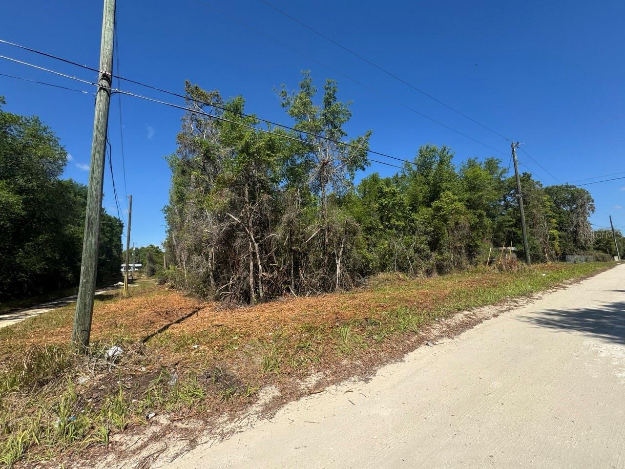 Details for  131st Lane , SALT SPRINGS, FL 32134