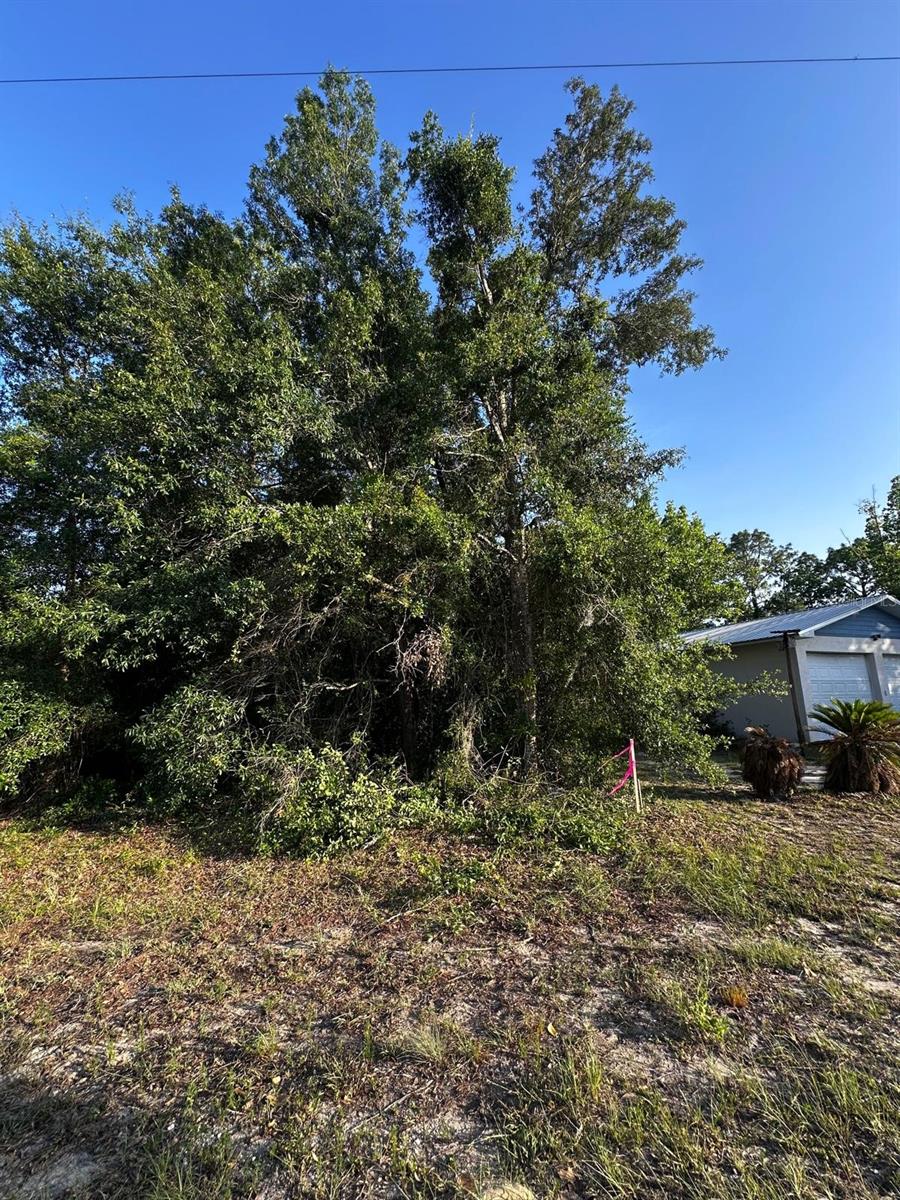 Image 17 of 17 For Country Club Drive