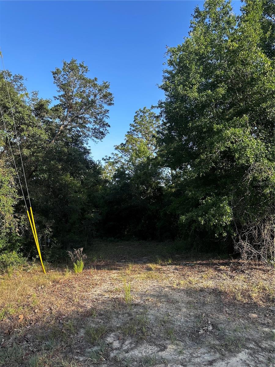 Image 3 of 17 For Country Club Drive