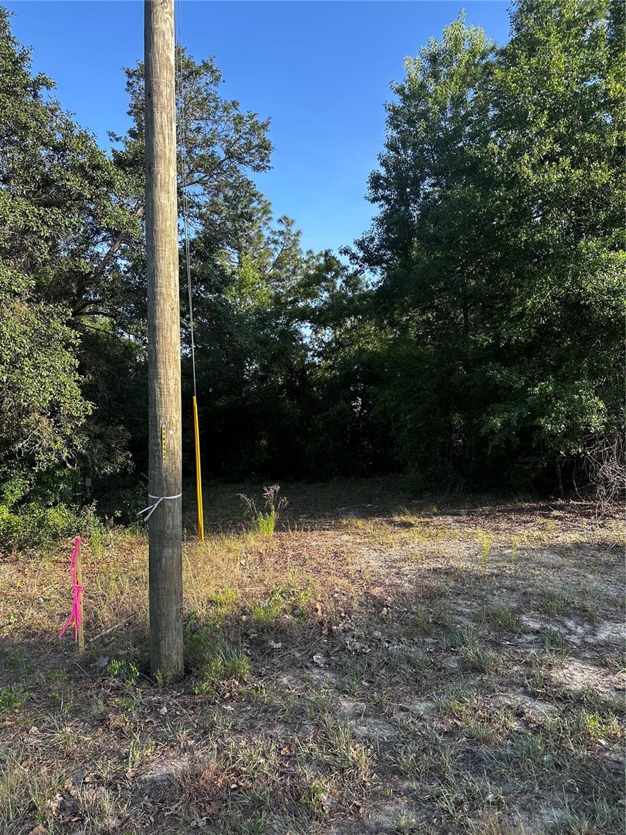 Image 4 of 17 For Country Club Drive