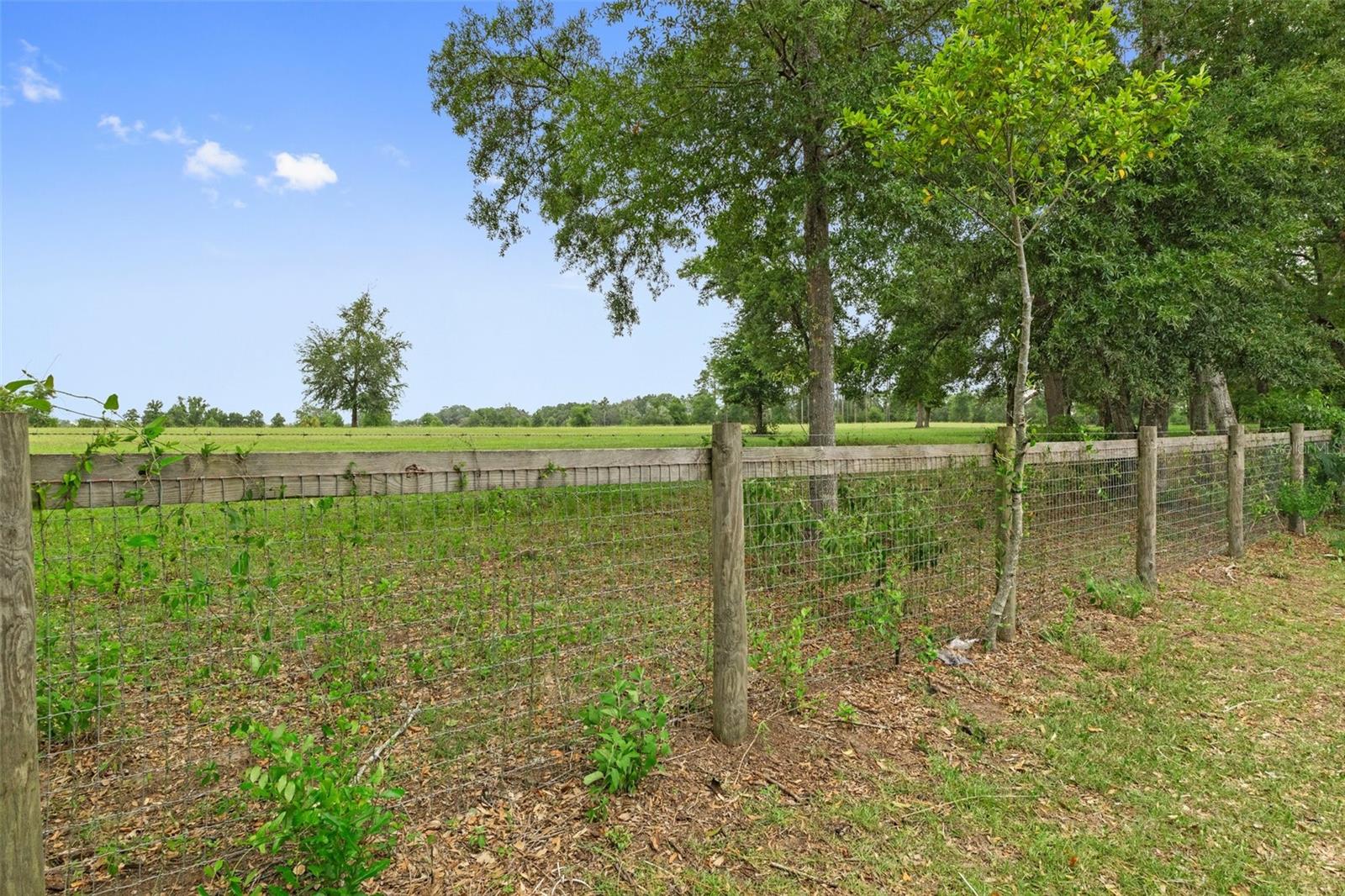 Image 41 of 47 For 21191 Plantation Street