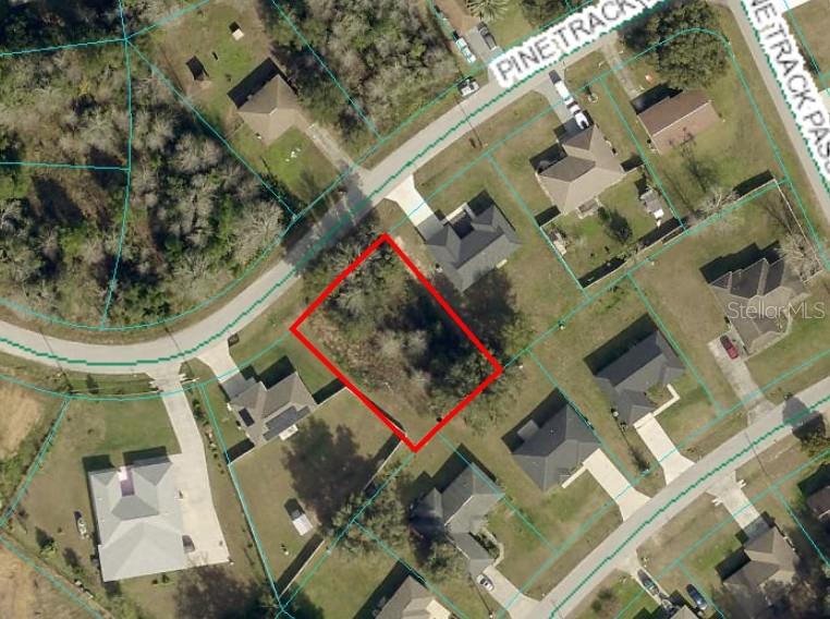 Details for Pine Track Trail, OCALA, FL 34472