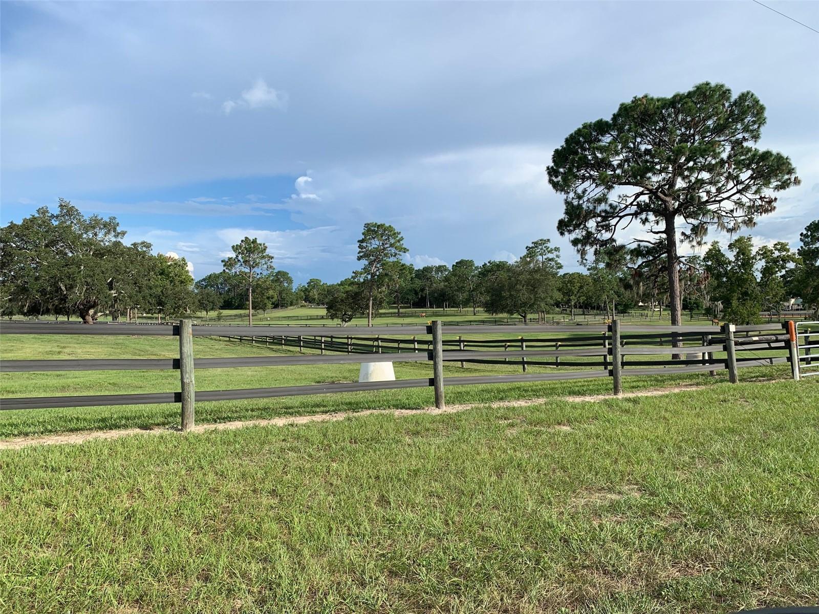Listing photo id 6 for 1782 Mesa Verde Drive