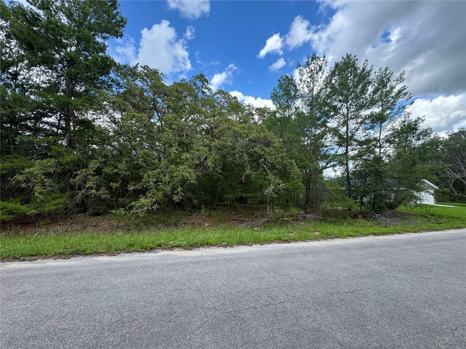Details for 0 Malauka Pass Course, OCKLAWAHA, FL 32179