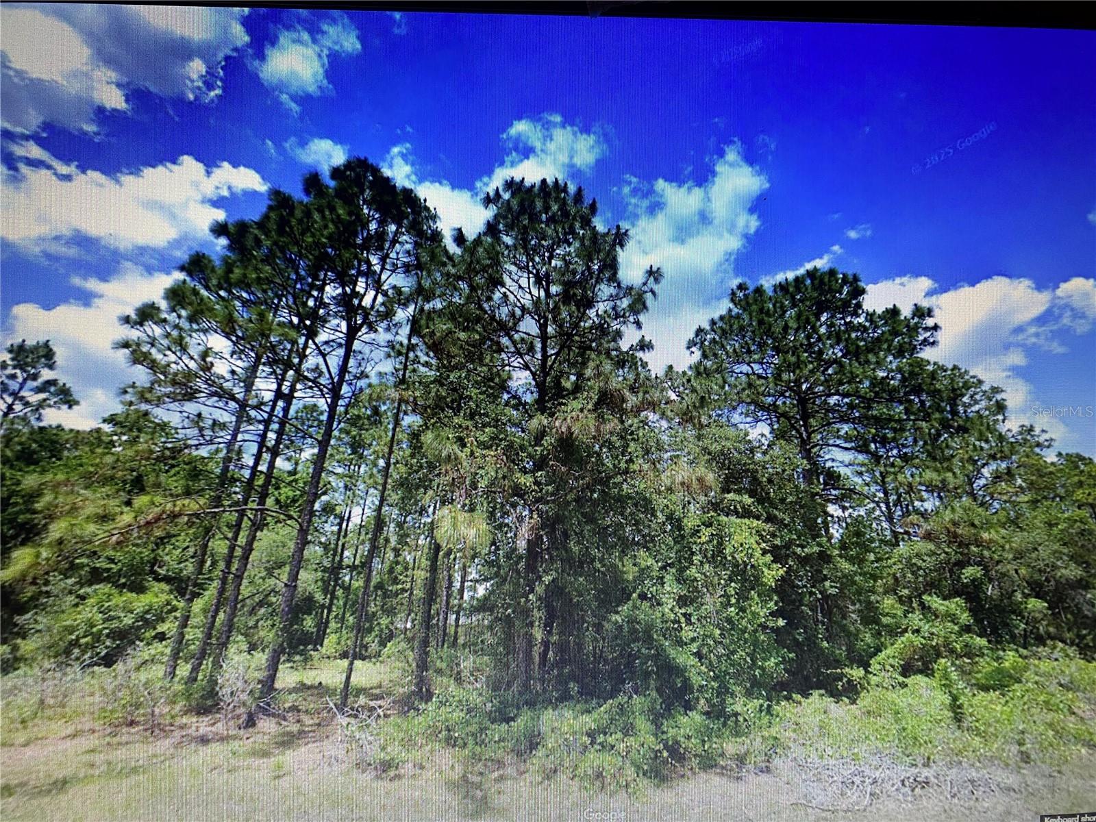 Listing Details for 0 135th Loop, OCALA, FL 34473