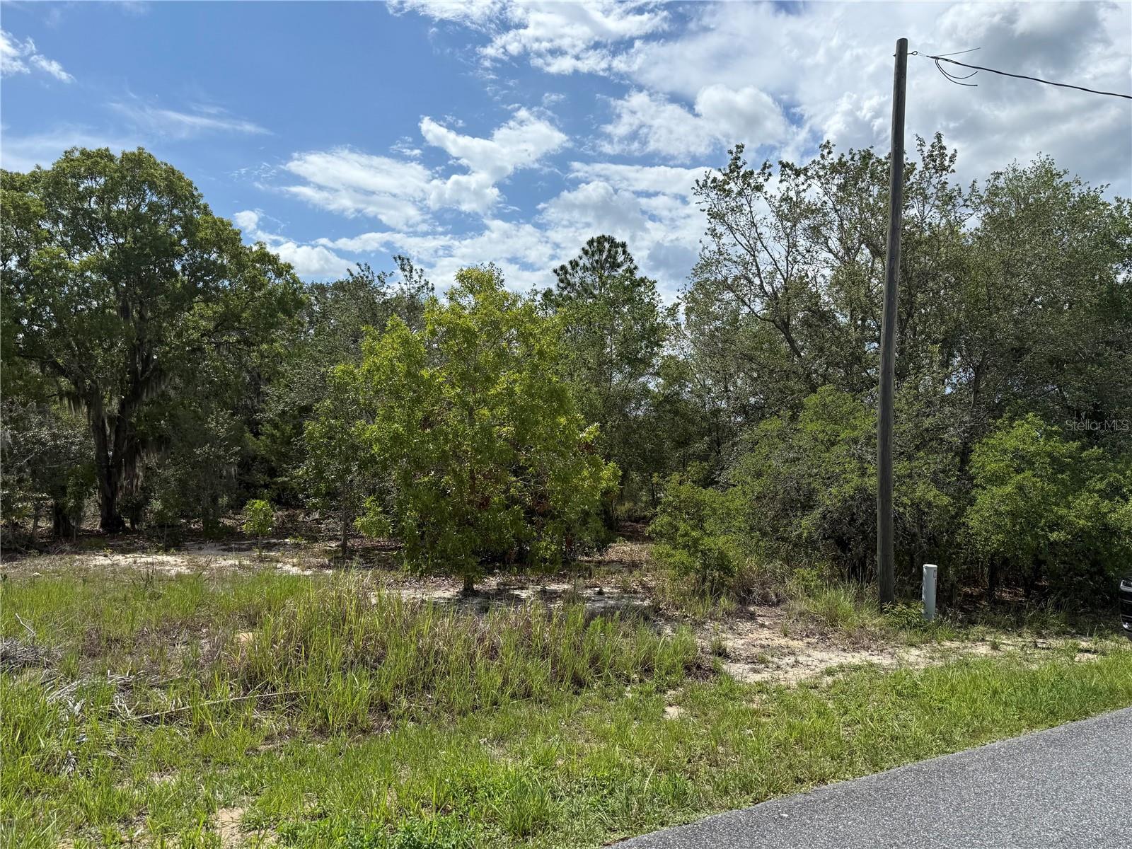 Details for Tbd Locust Lane Pass, OCALA, FL 34472