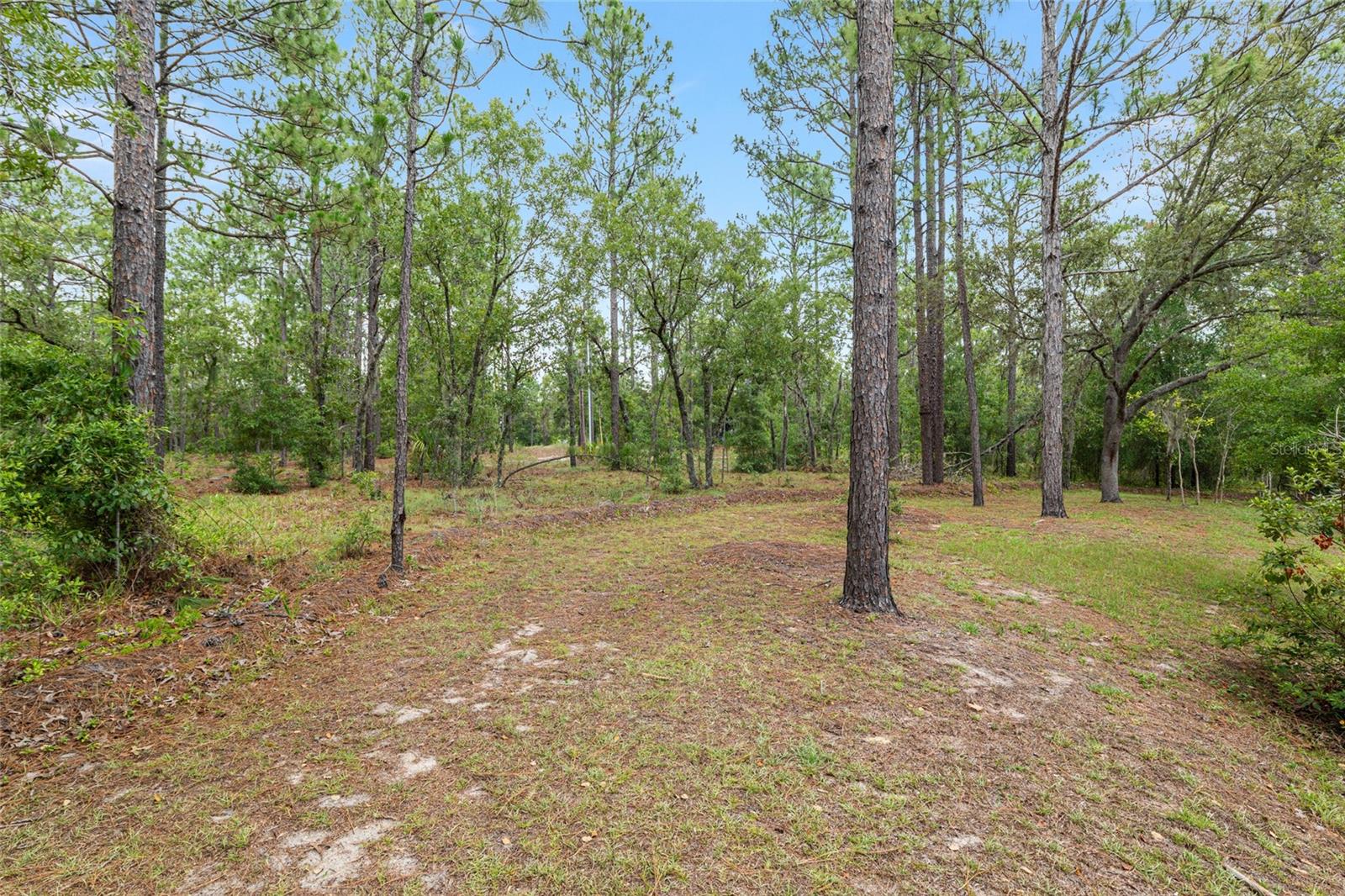Image 88 of 96 For 9180 202nd Avenue Road