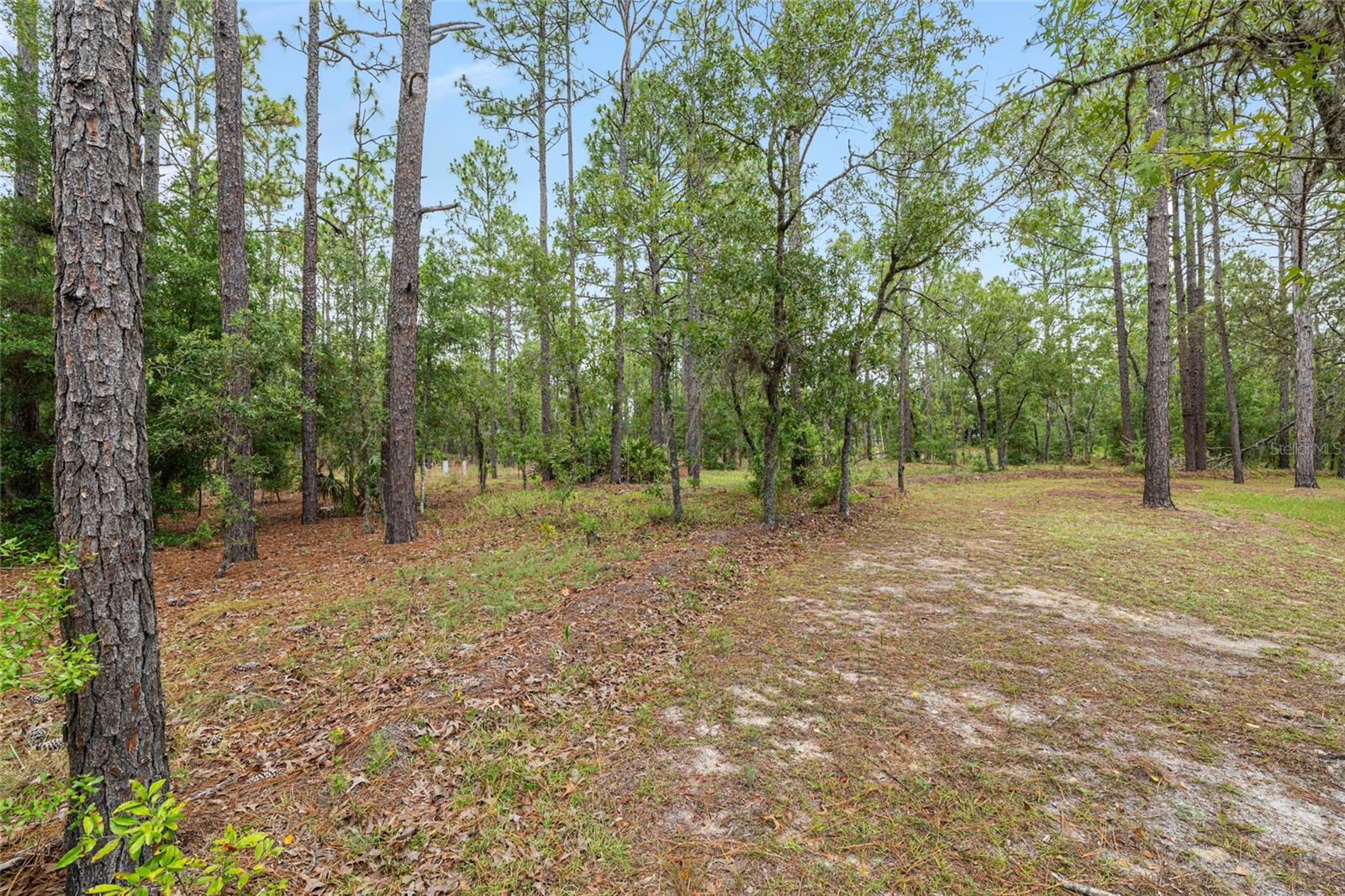 Image 95 of 96 For 9180 202nd Avenue Road