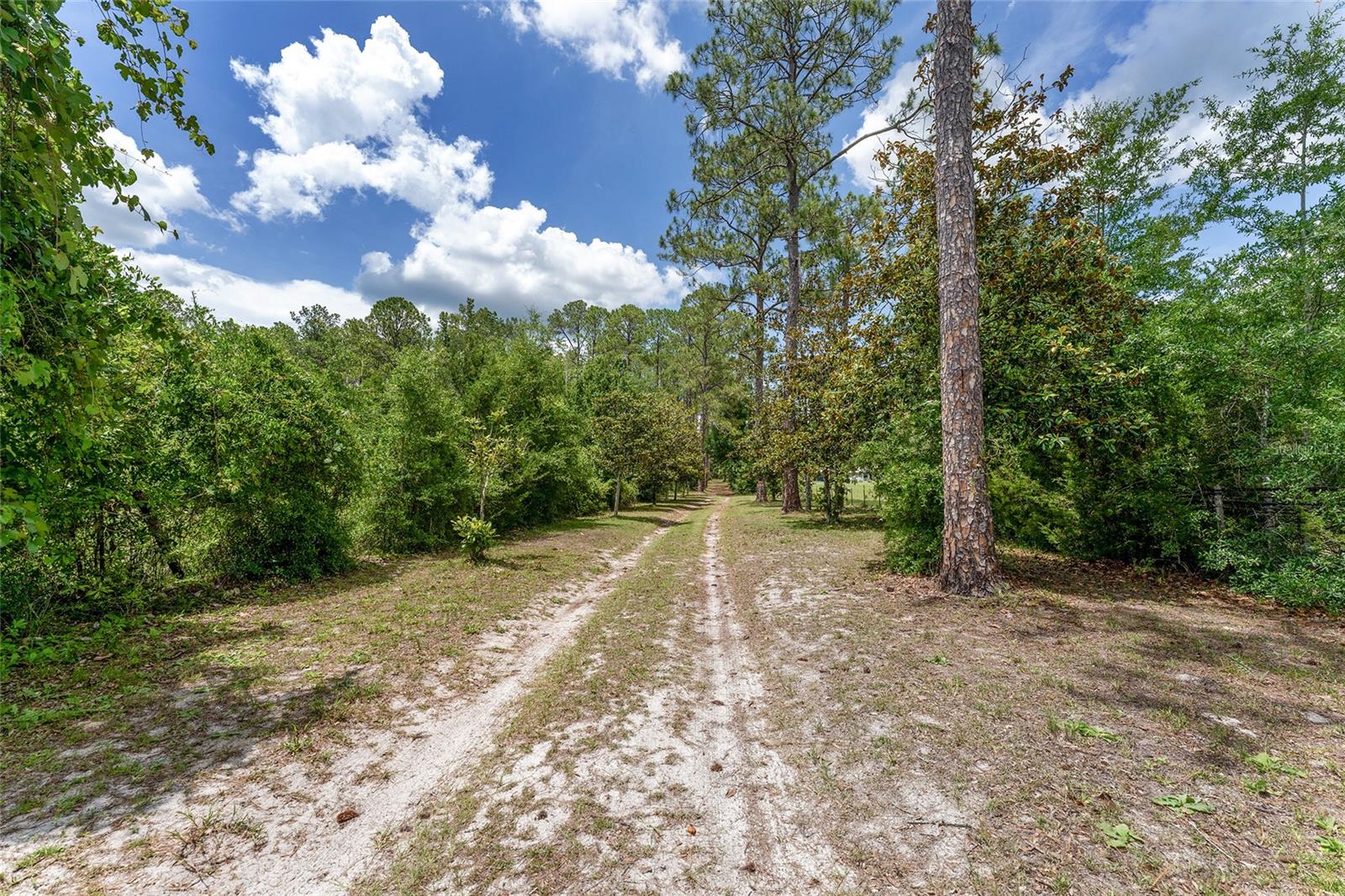 Image 96 of 98 For 8441 115th Street