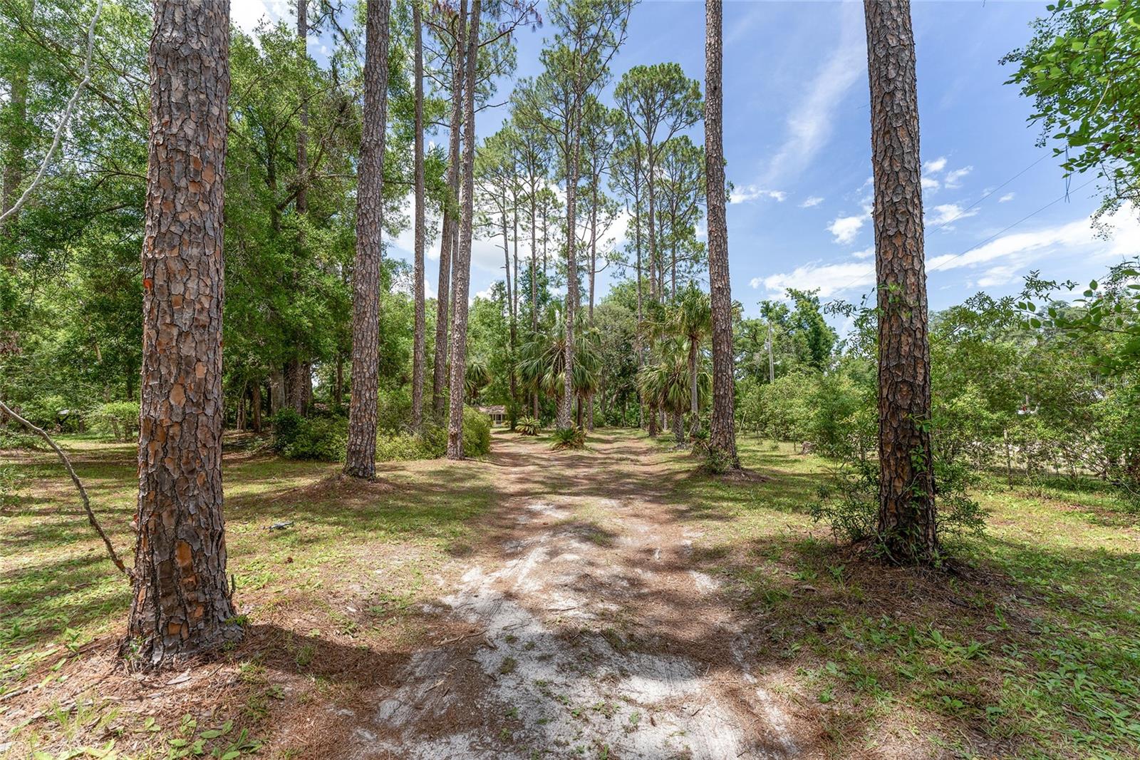 Image 97 of 98 For 8441 115th Street