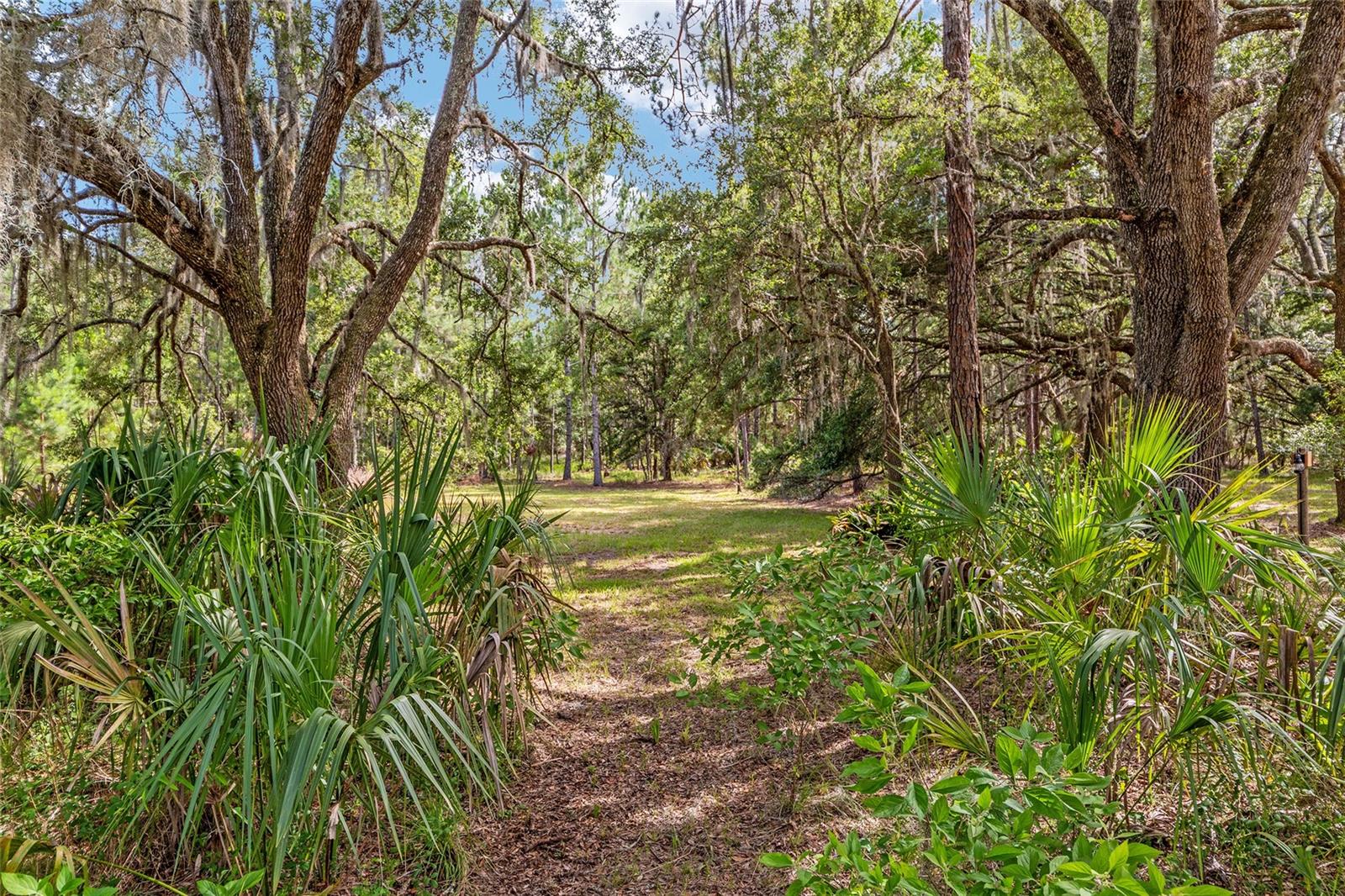 Image 11 of 100 For 10351 195th Street