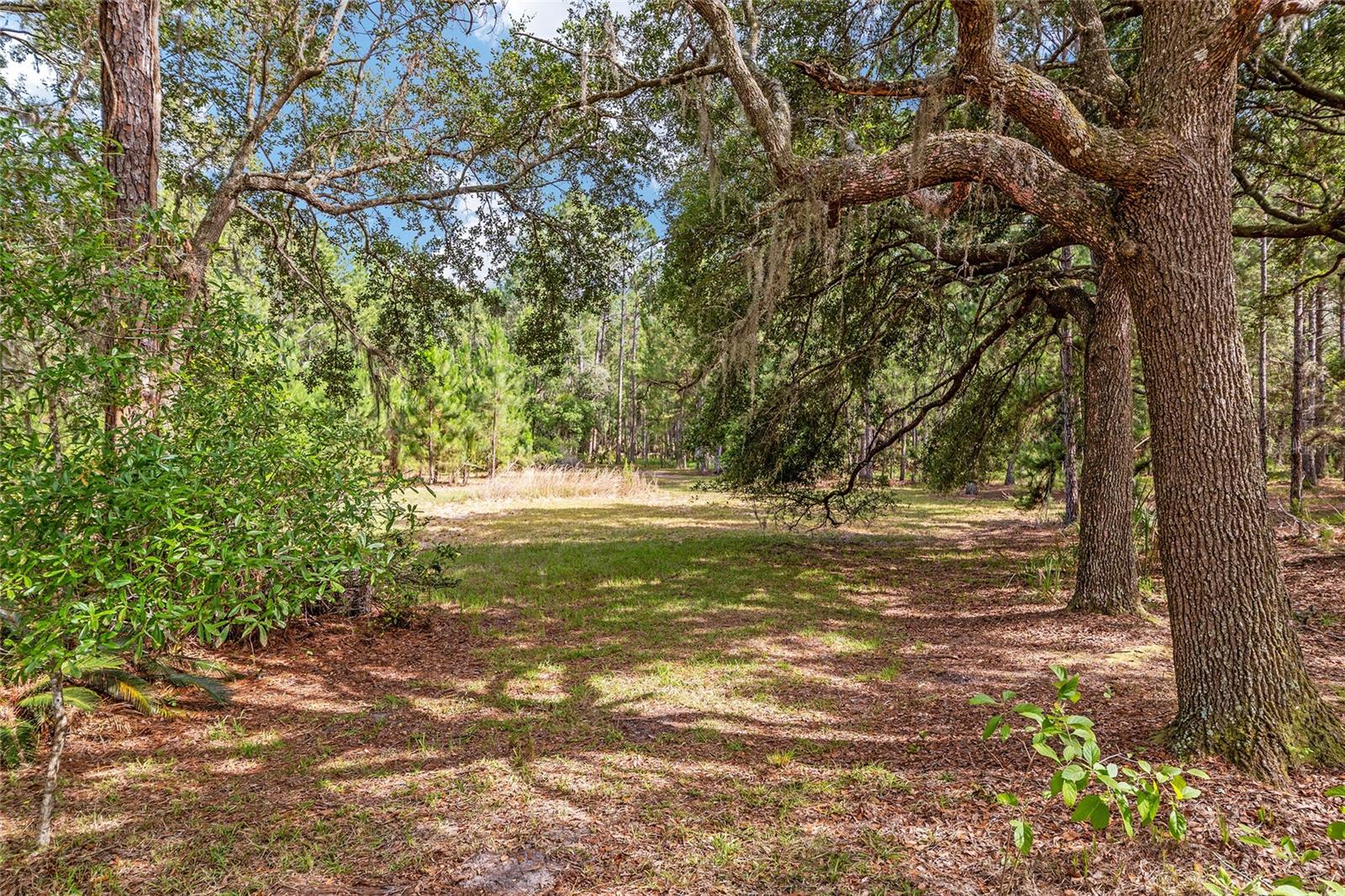 Image 6 of 100 For 10351 195th Street