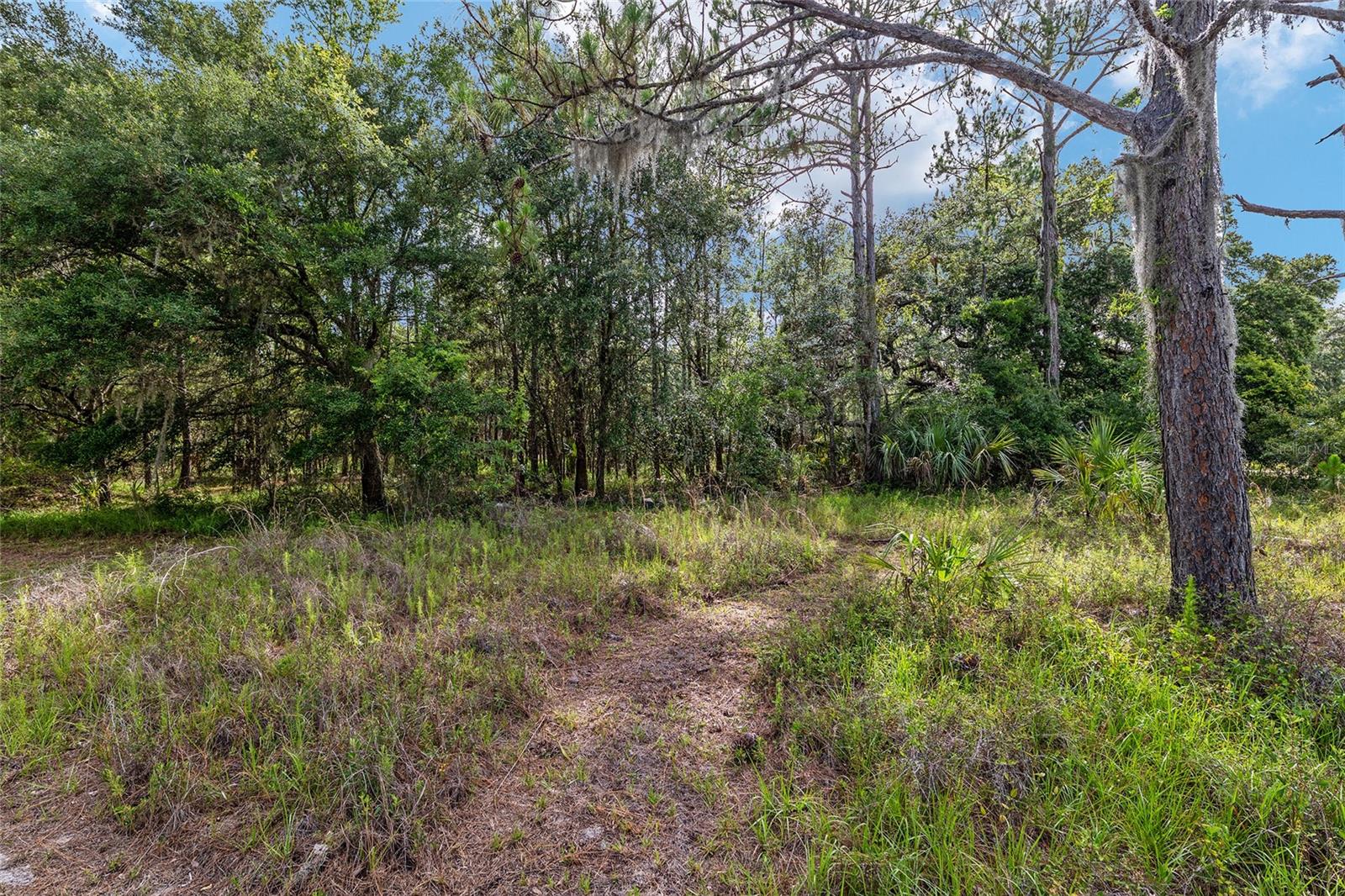 Image 71 of 100 For 10351 195th Street