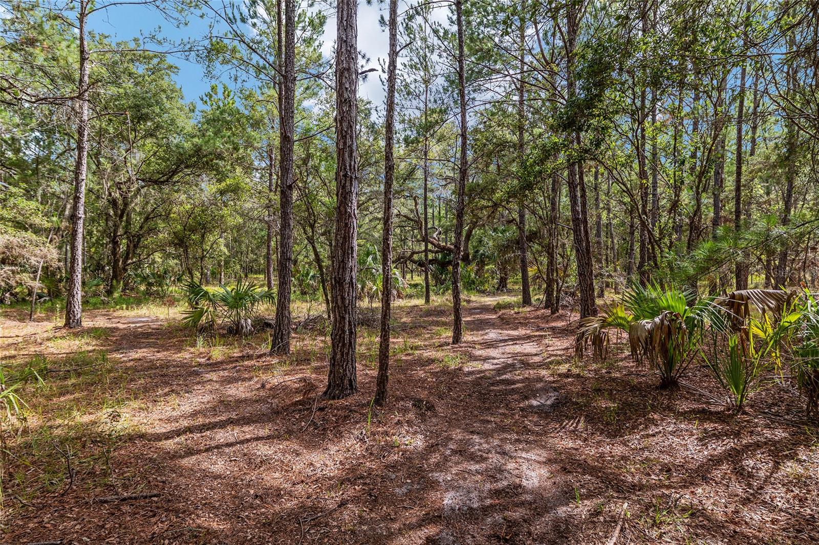 Image 82 of 100 For 10351 195th Street