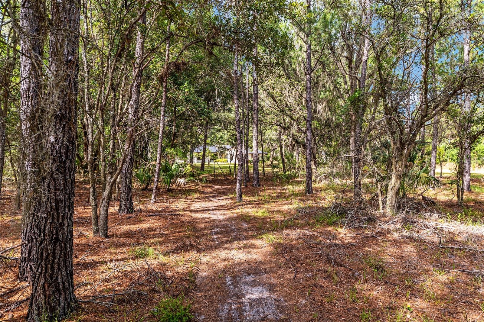 Image 85 of 100 For 10351 195th Street