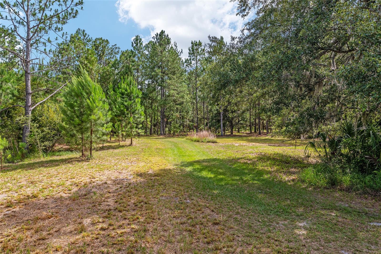 Image 88 of 100 For 10351 195th Street