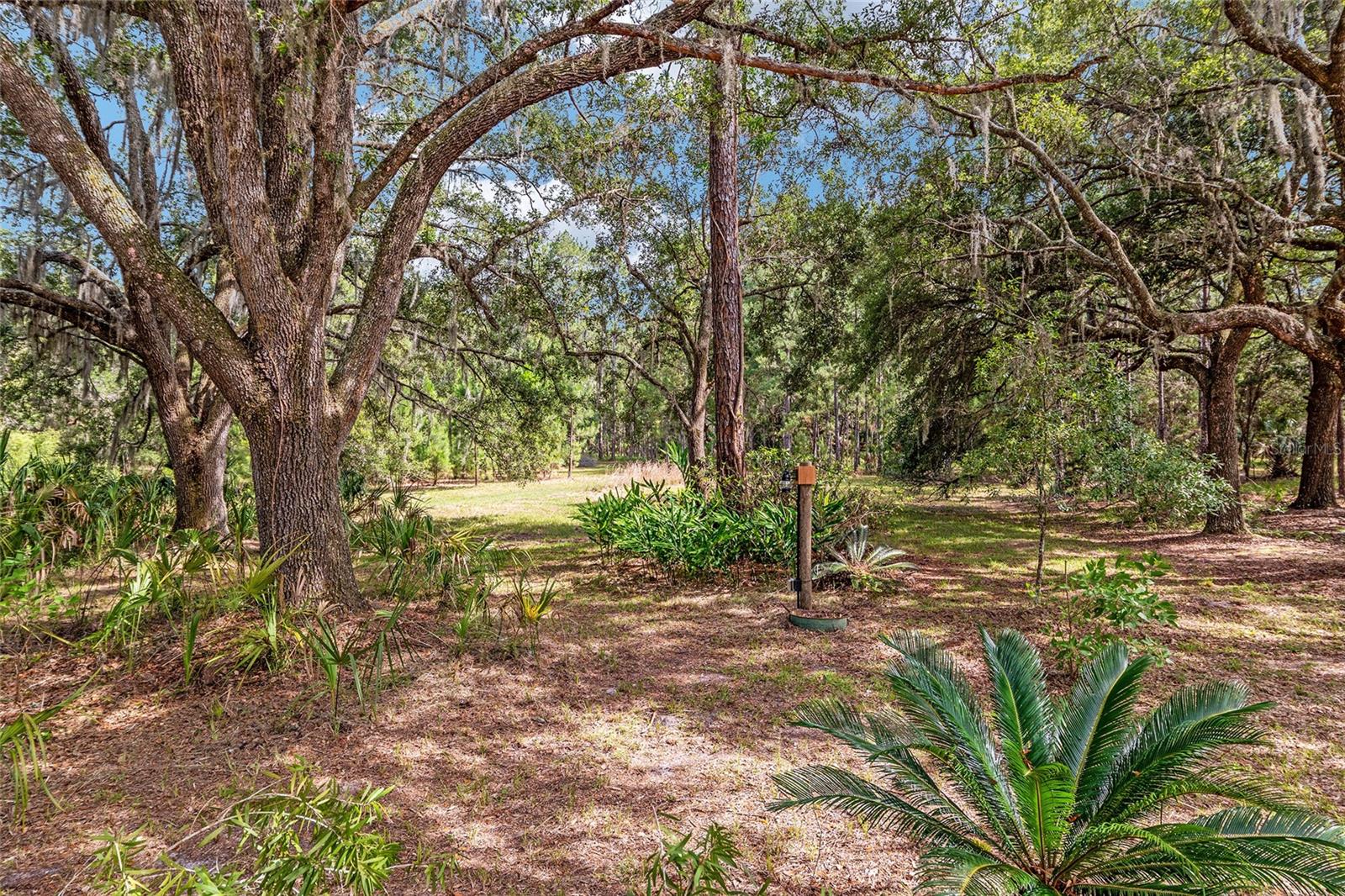 Image 9 of 100 For 10351 195th Street