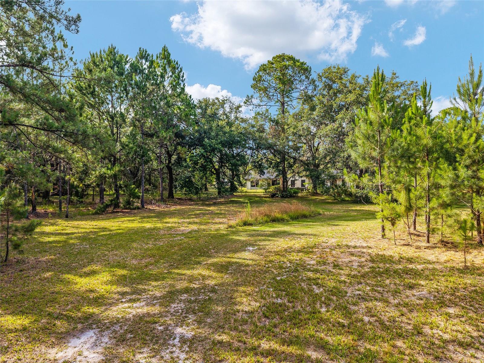 Image 94 of 100 For 10351 195th Street
