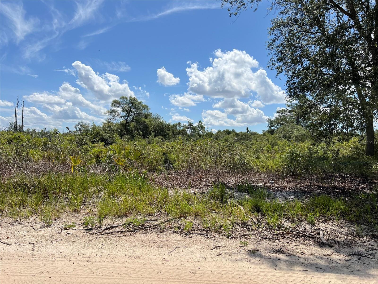 Details for 0 157 Lane , DUNNELLON, FL 34432