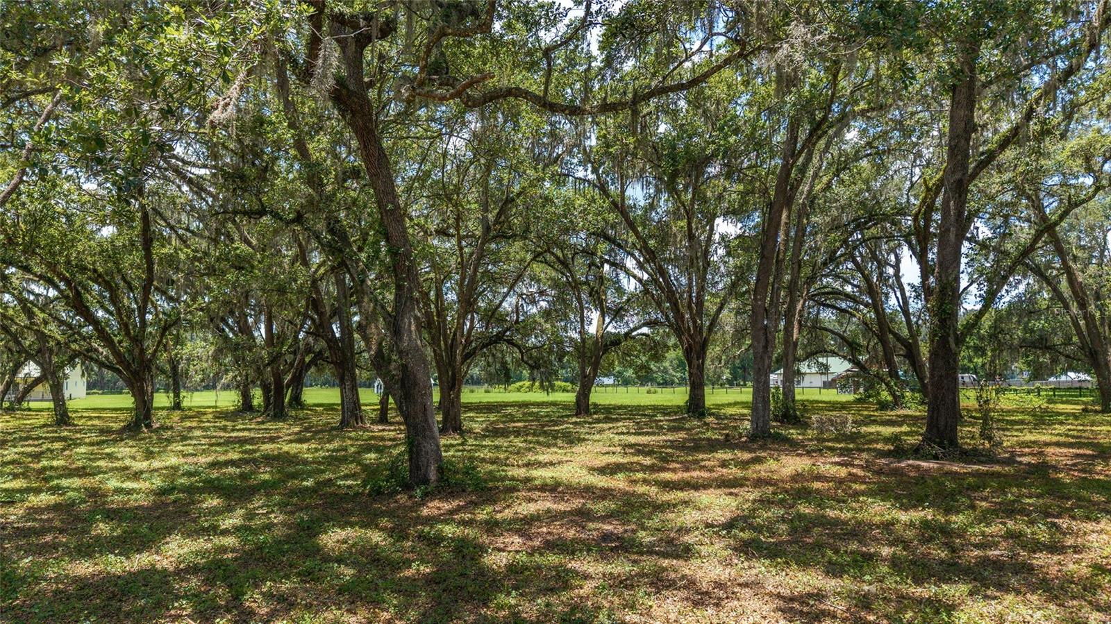 Image 90 of 96 For 975 Cr 542e  