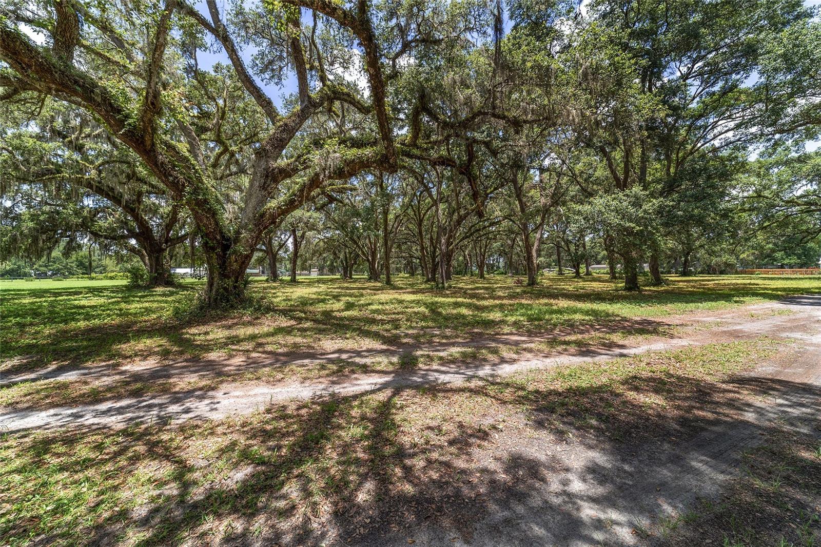 Image 91 of 96 For 975 Cr 542e  