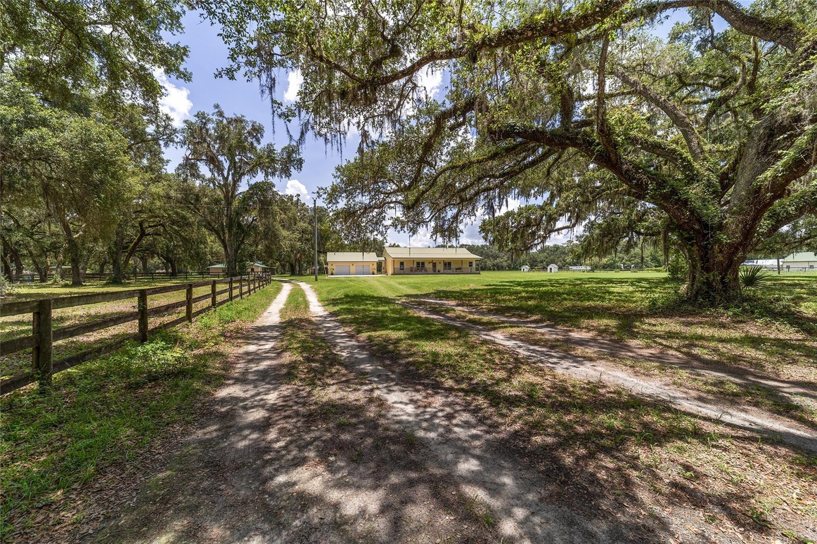 Image 92 of 96 For 975 Cr 542e  
