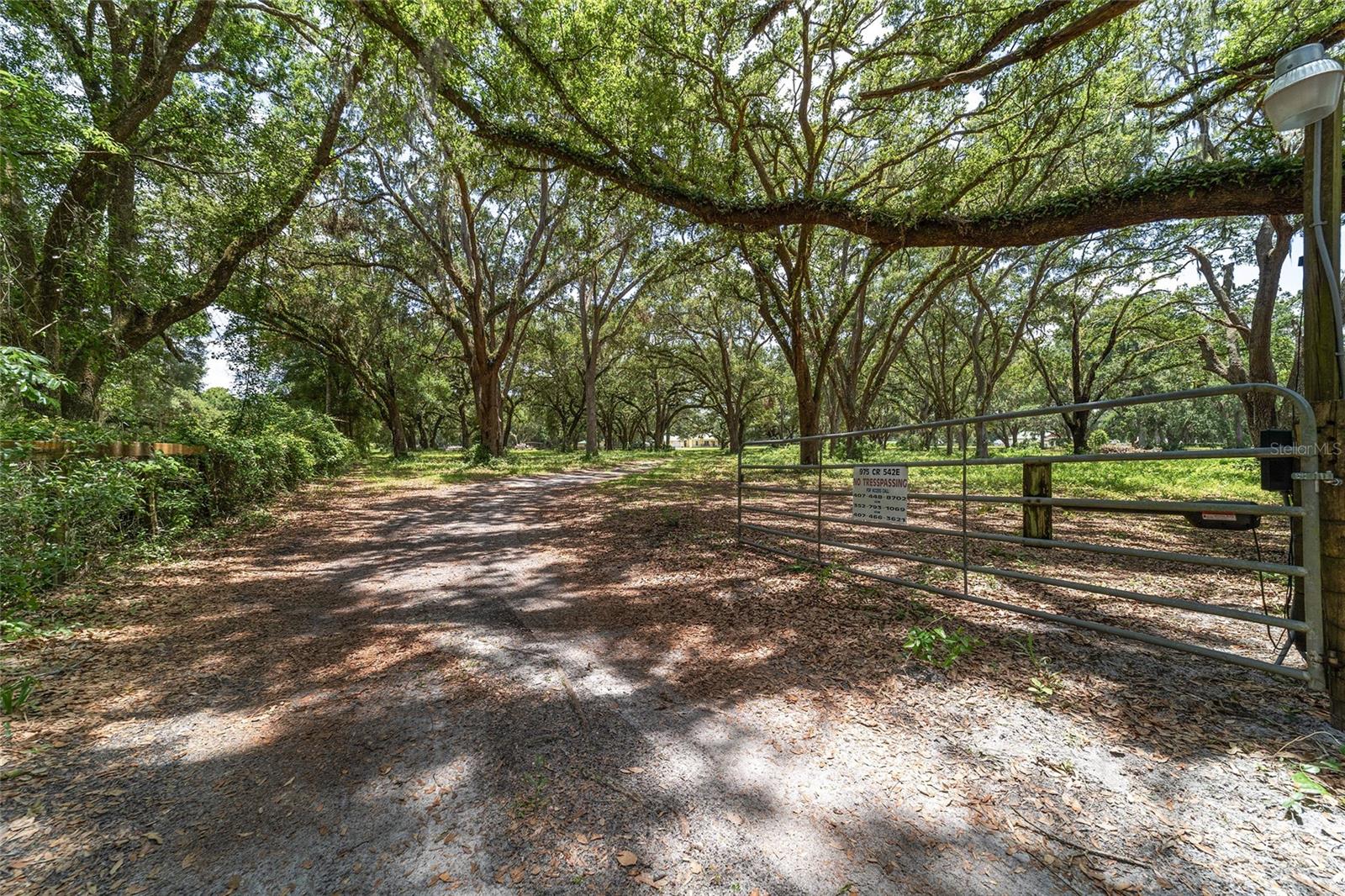 Image 93 of 96 For 975 Cr 542e  