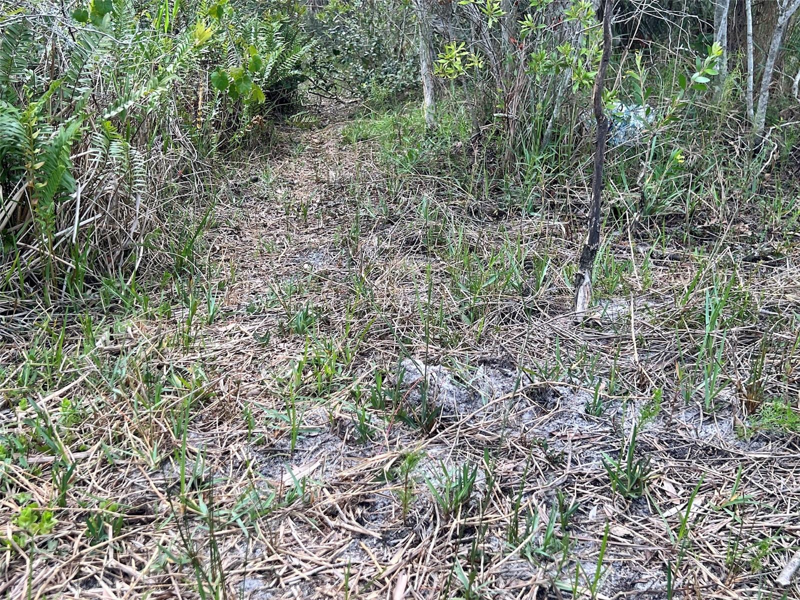 Image 8 of 9 For 21061 Granville Road