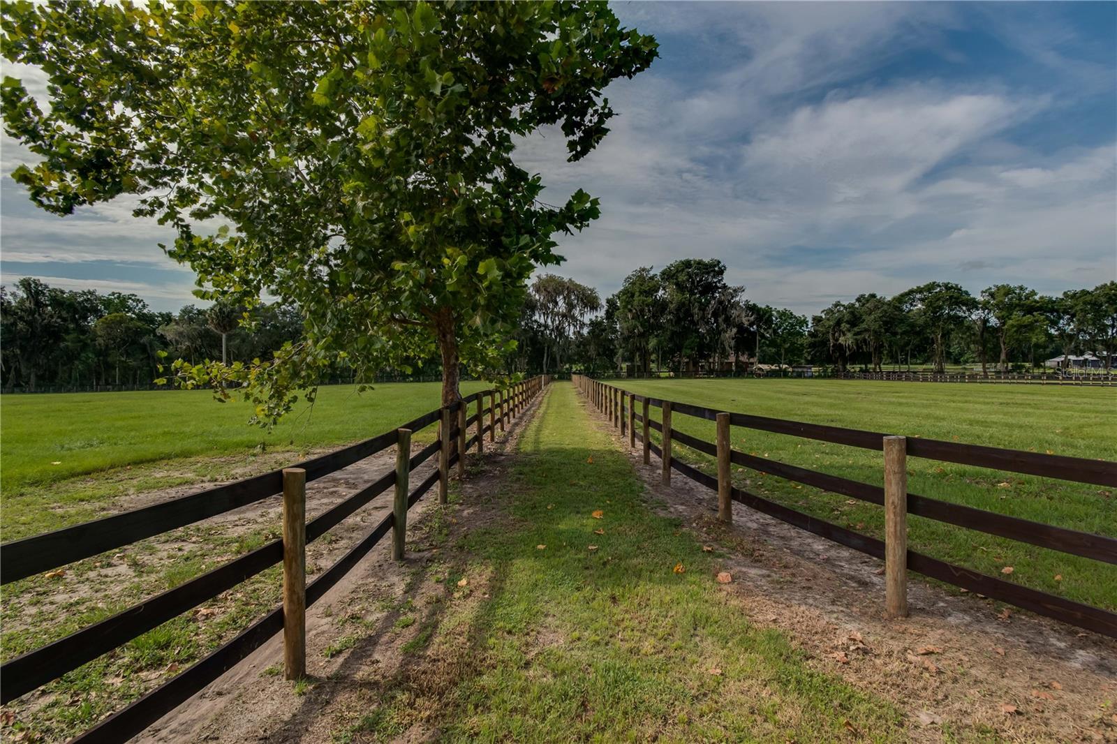 Image 41 of 56 For 12895 Gainesville Road