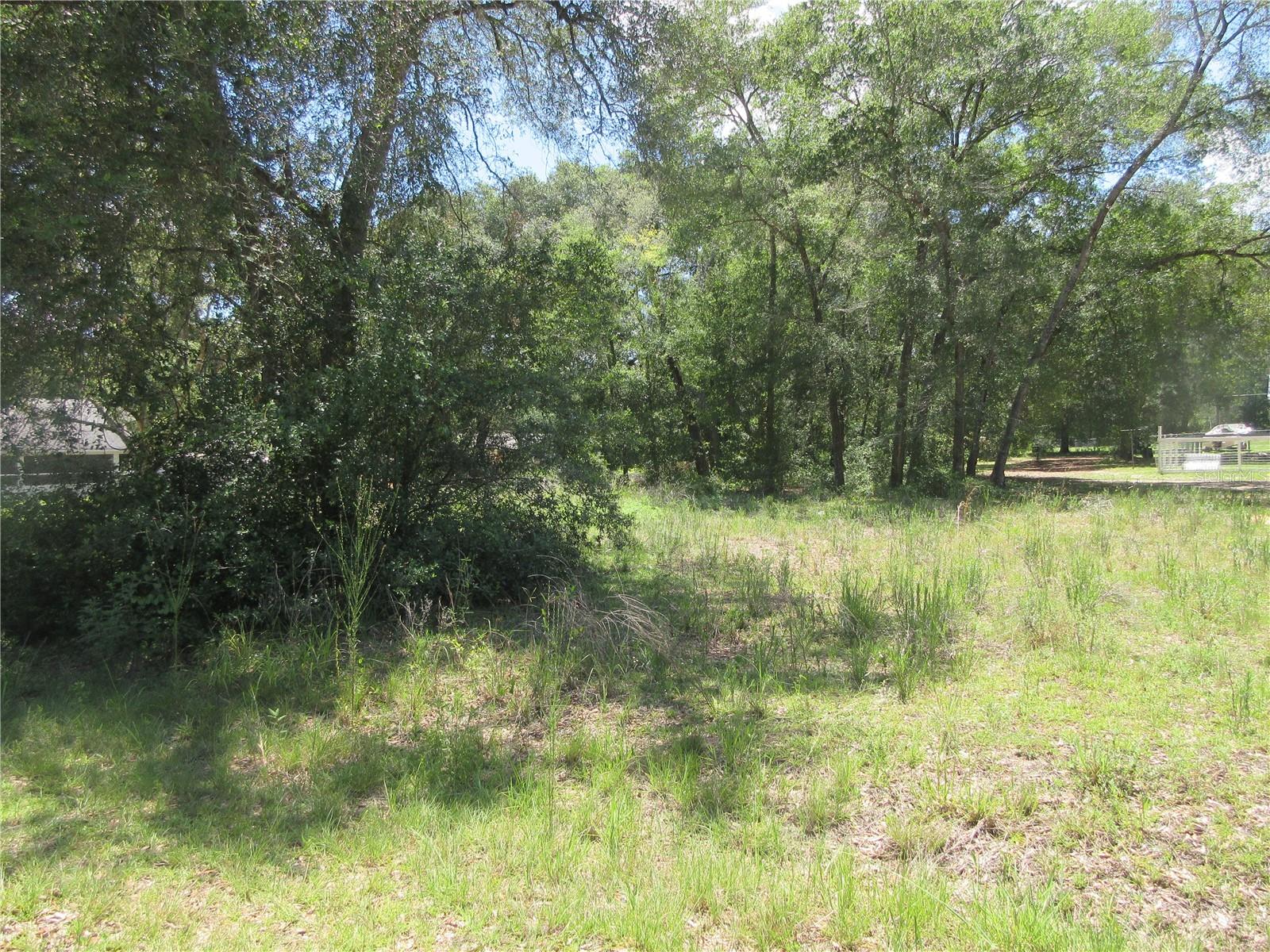 Image 6 of 73 For  161st Court 