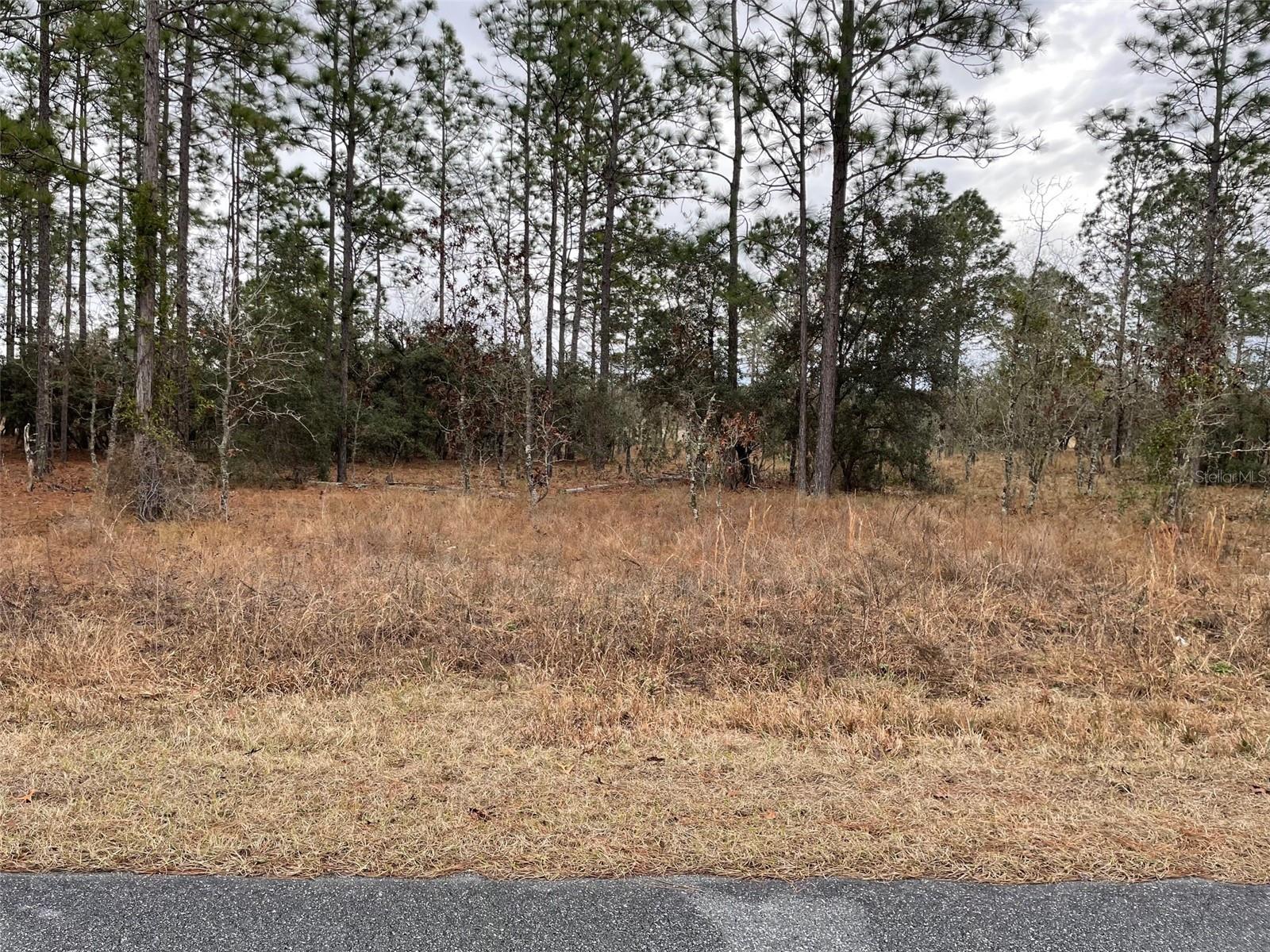 Details for Lot 14 136 Terrace, DUNNELLON, FL 34431
