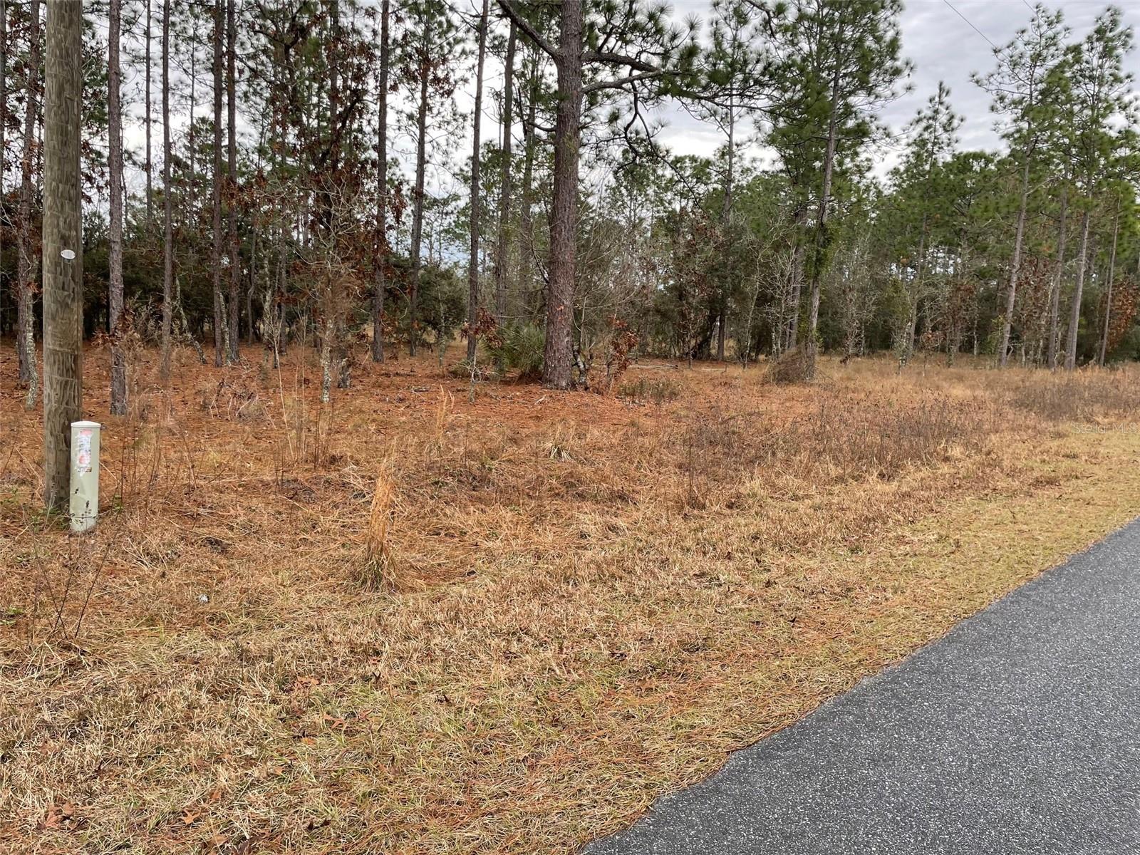 Image 2 of 10 For Lot 14 136 Terrace