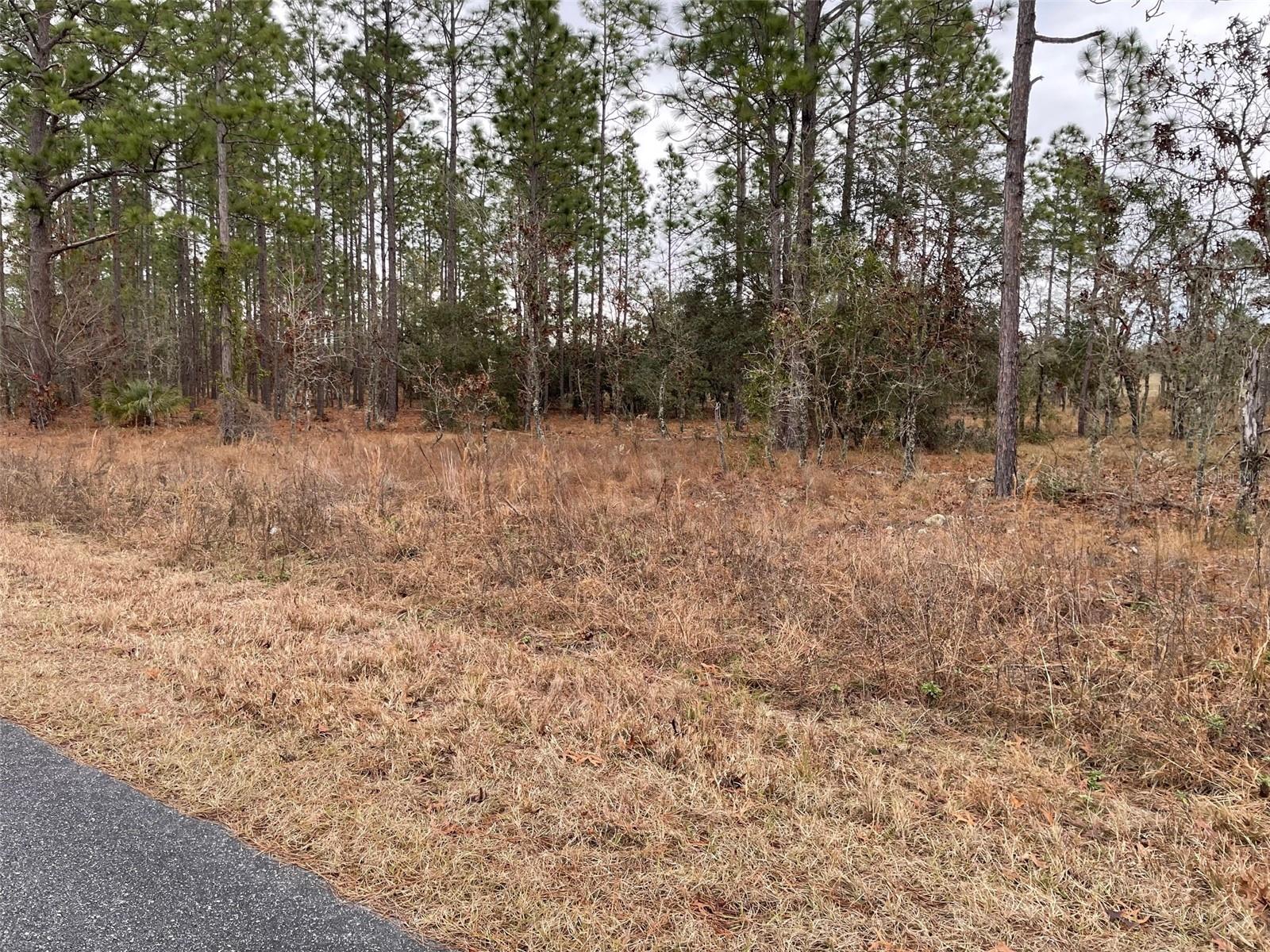 Image 3 of 10 For Lot 14 136 Terrace