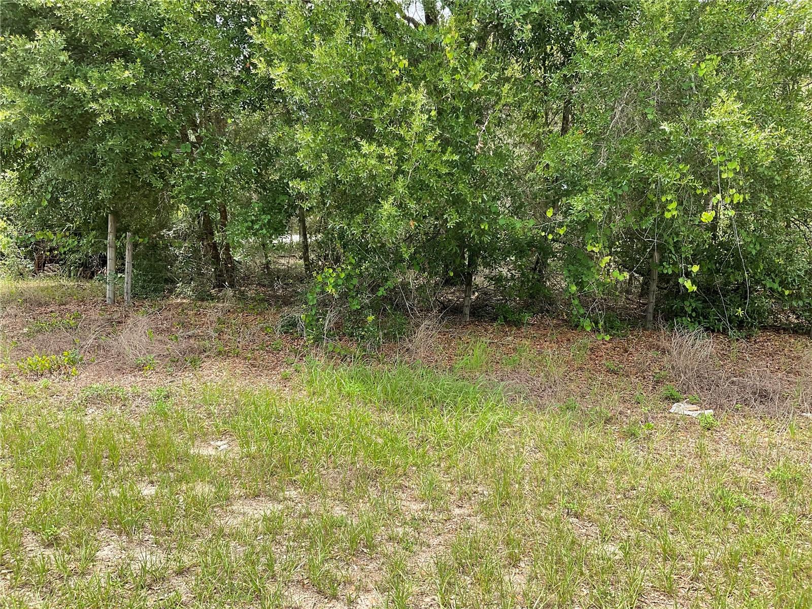 Image 2 of 7 For Tbd Lot 56 Malauka Radial Trail