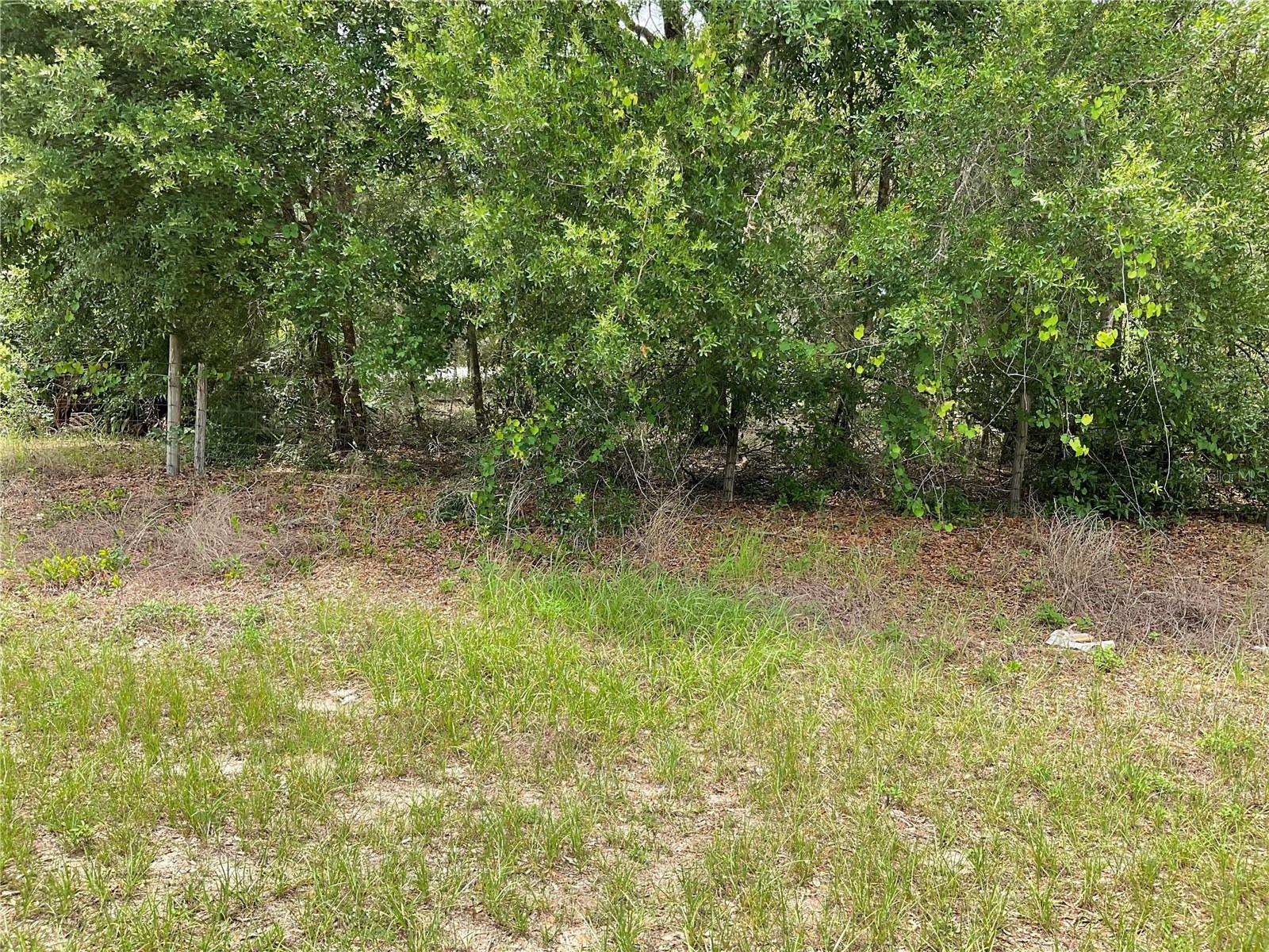 Image 3 of 7 For Tbd Lot 56 Malauka Radial Trail