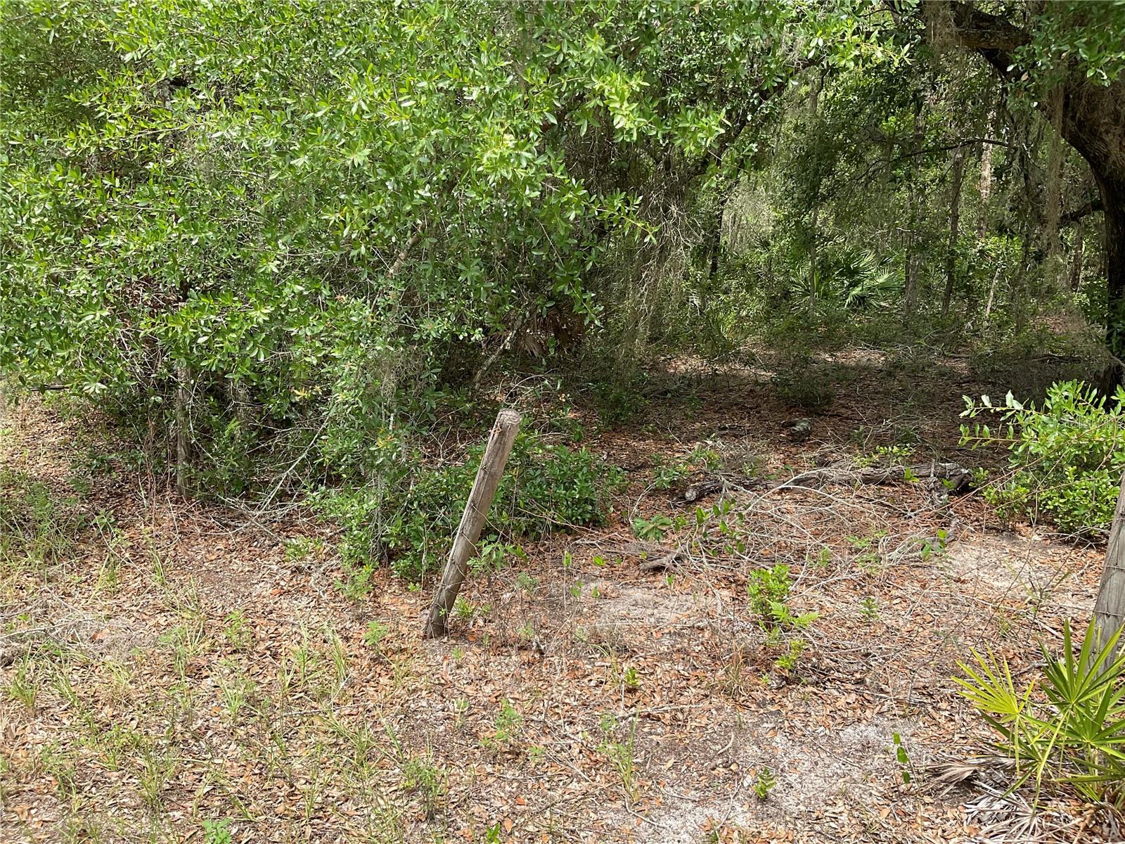 Image 4 of 7 For Tbd Lot 56 Malauka Radial Trail