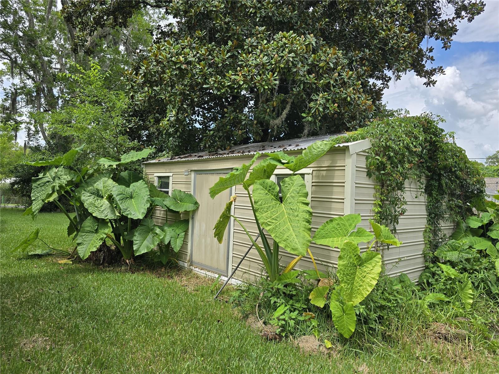 Image 19 of 28 For 41 5th Street