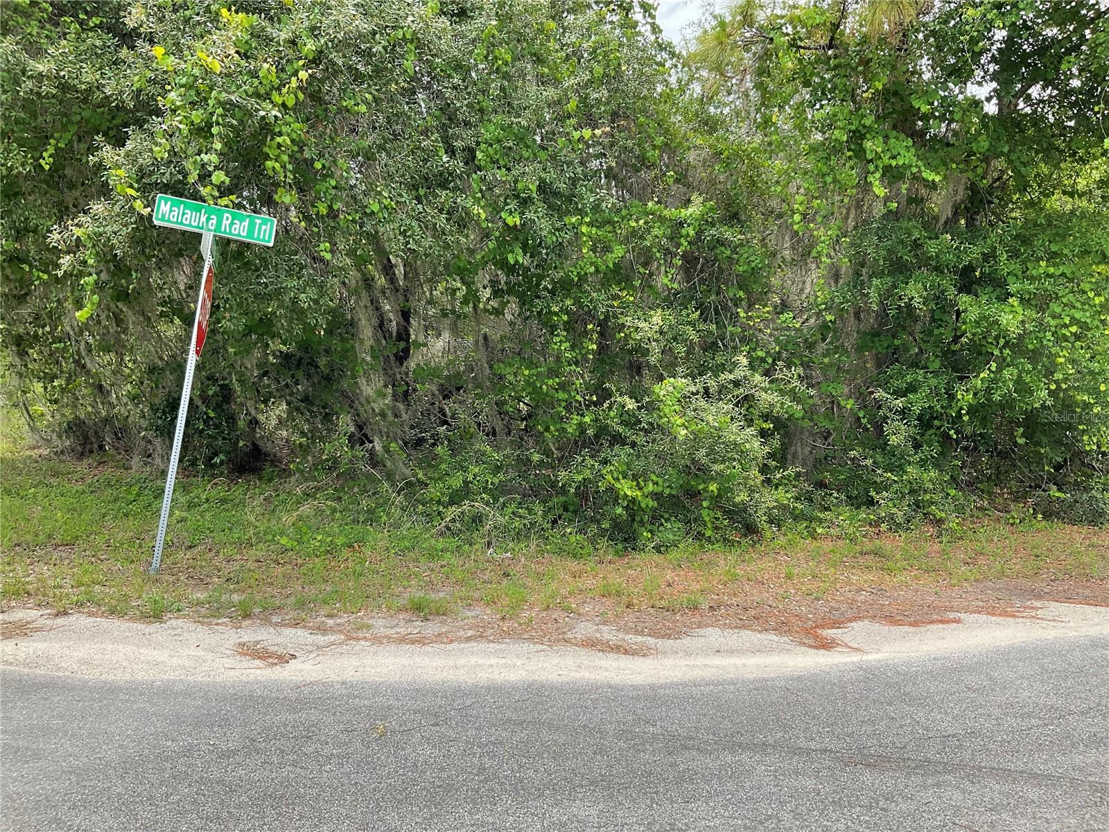 Details for Tbd Lot 59 Malauka Radial Trail, OCKLAWAHA, FL 32179
