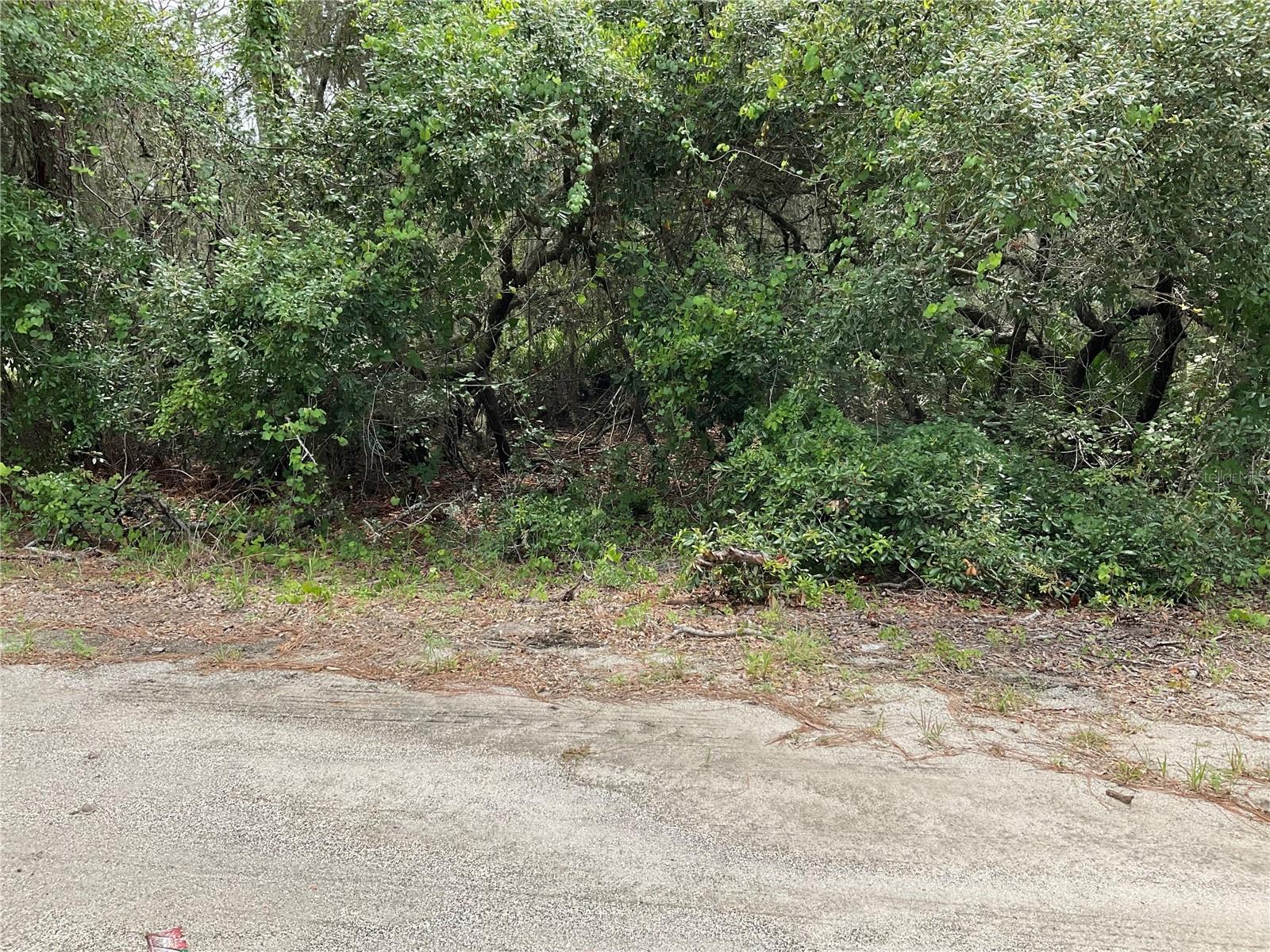 Image 3 of 5 For Tbd Lot 59 Malauka Radial Trail