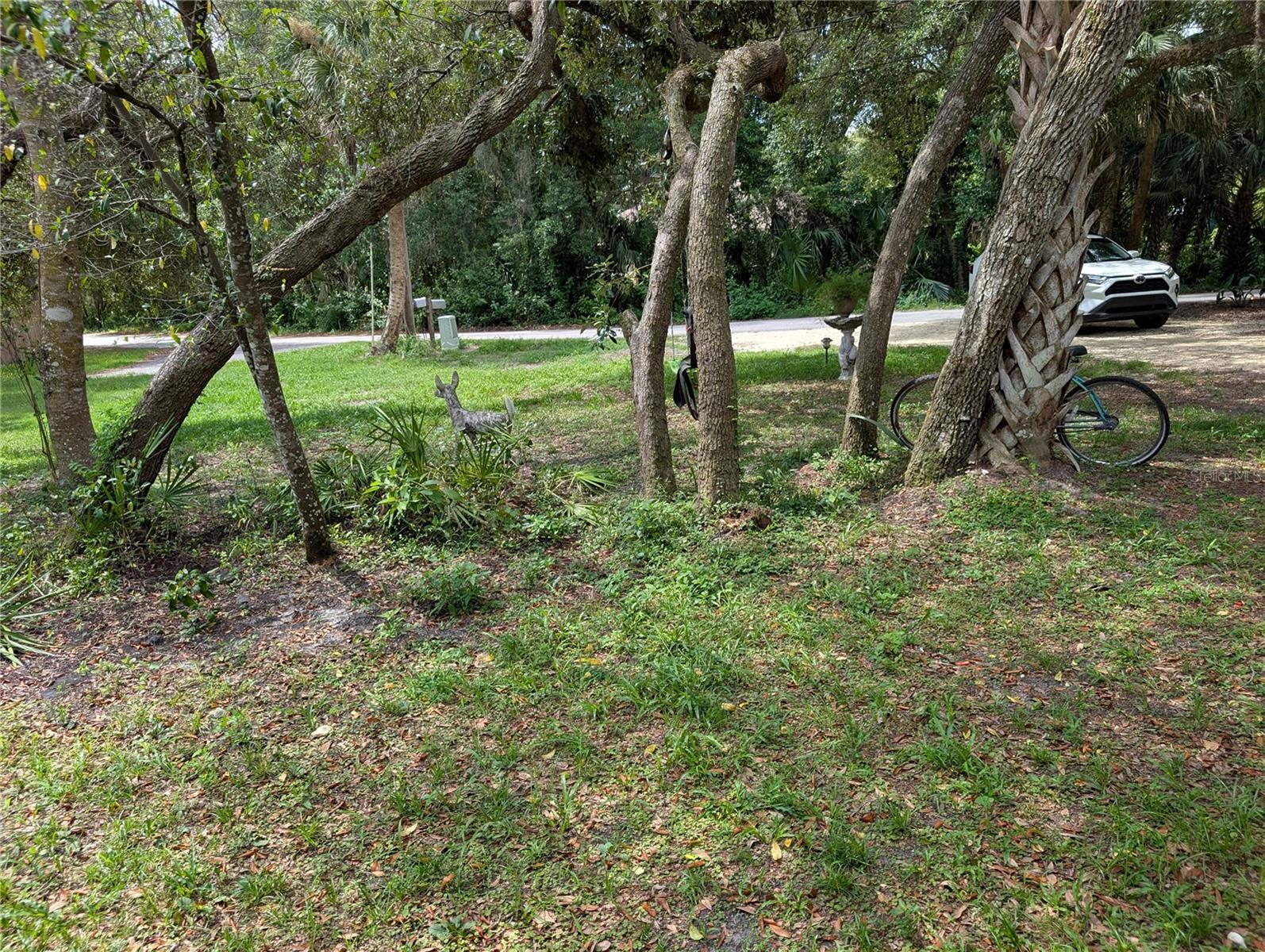 Listing photo id 55 for 3609 Westcove Court
