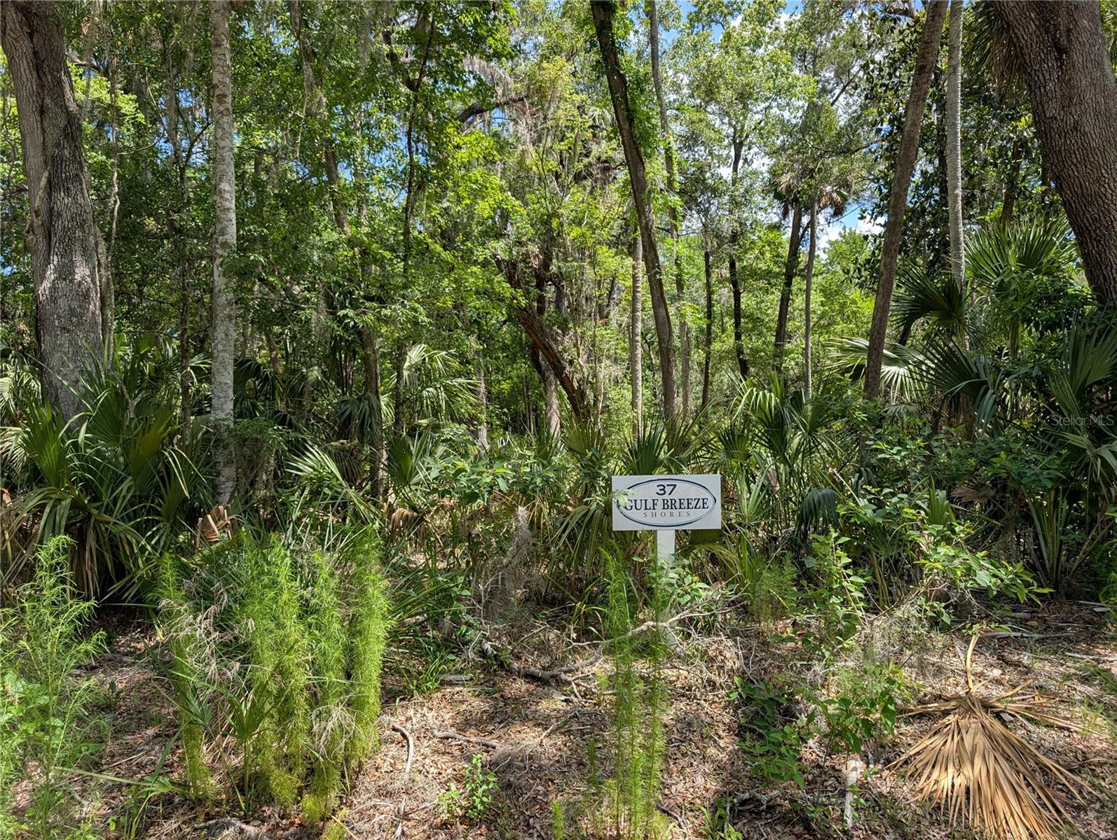 Details for 13159 Gulf Shores Street, INGLIS, FL 34449